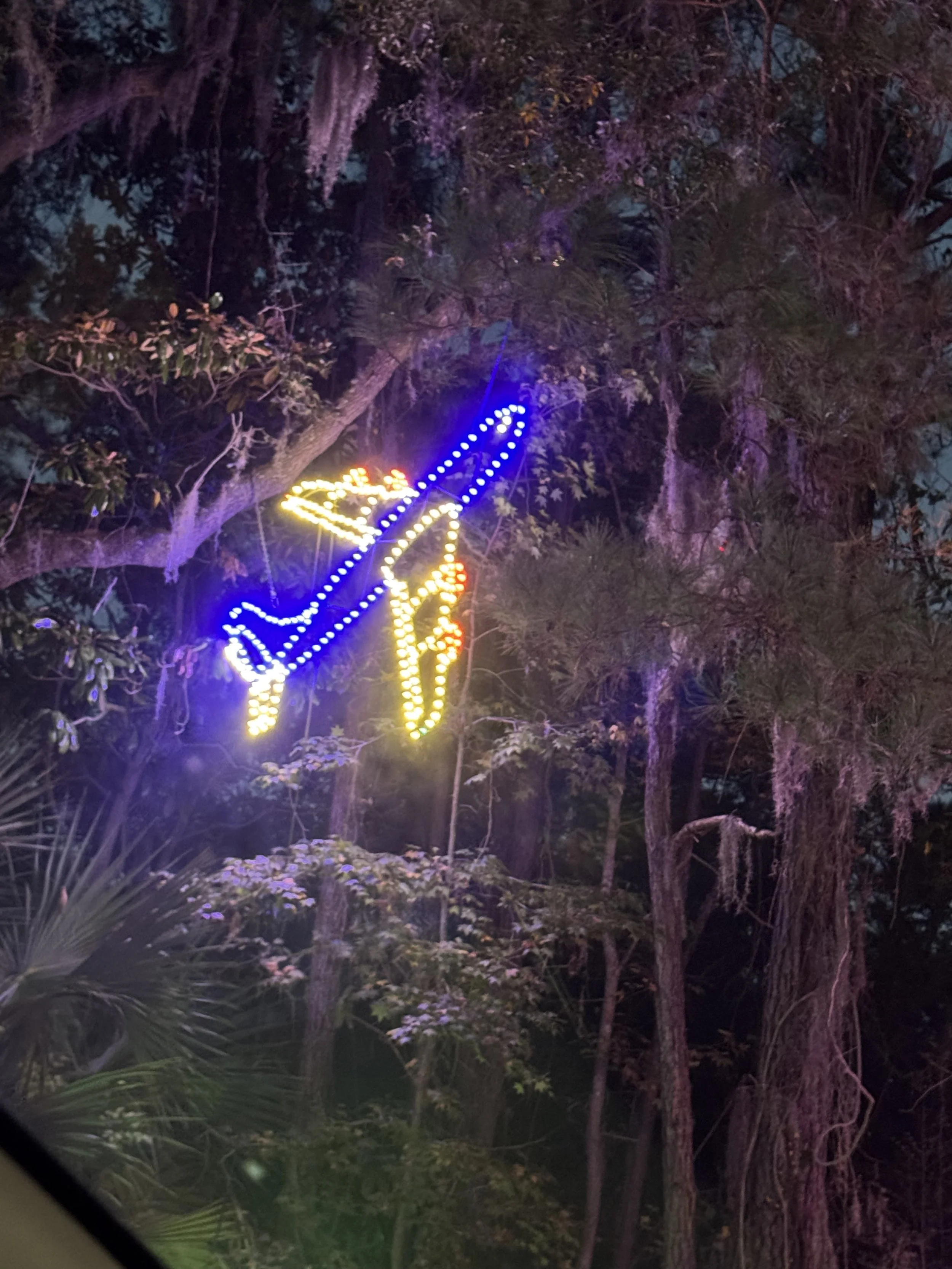 Festival of Lights in Charleston