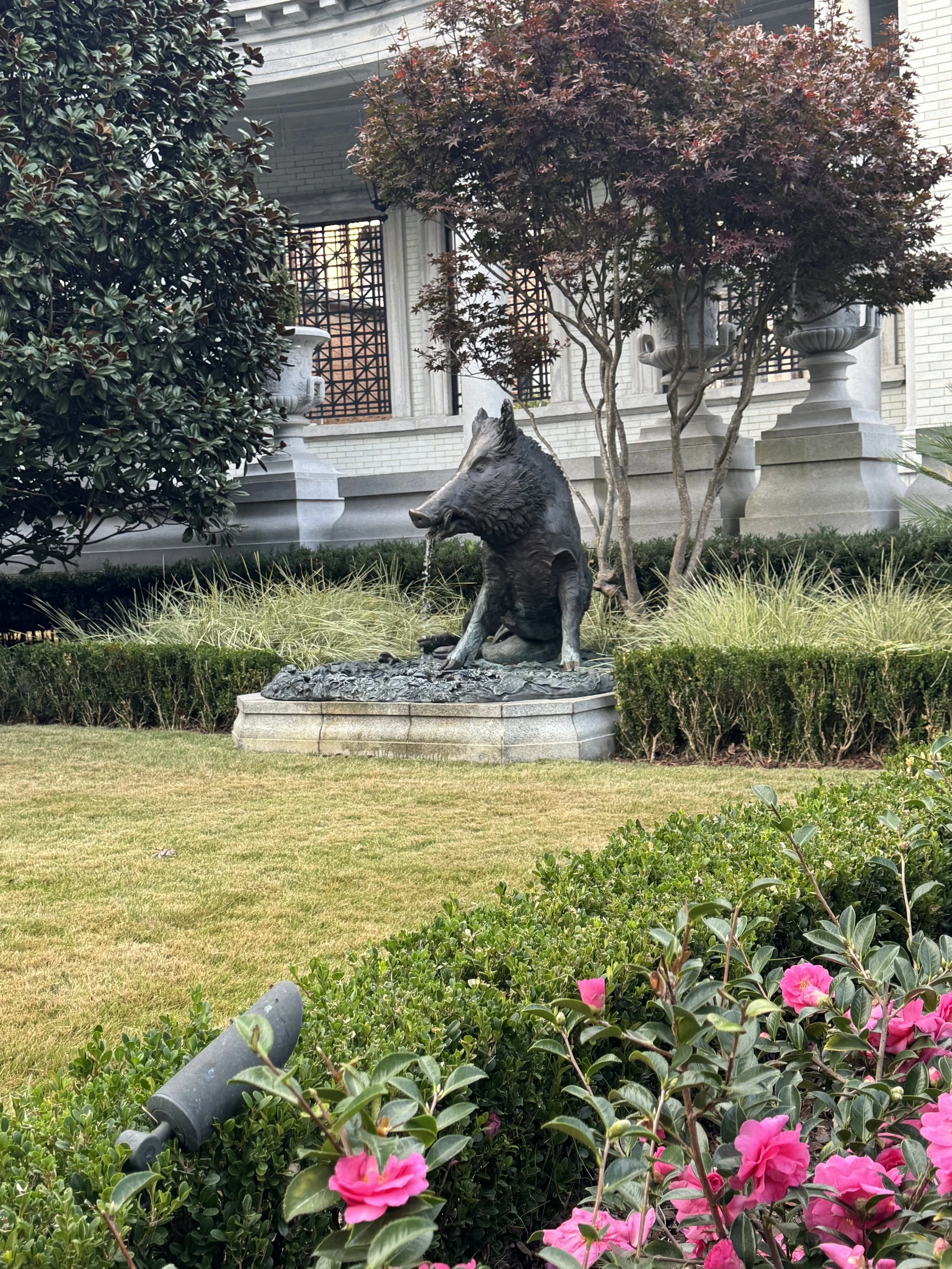 Boar fountain.jpeg