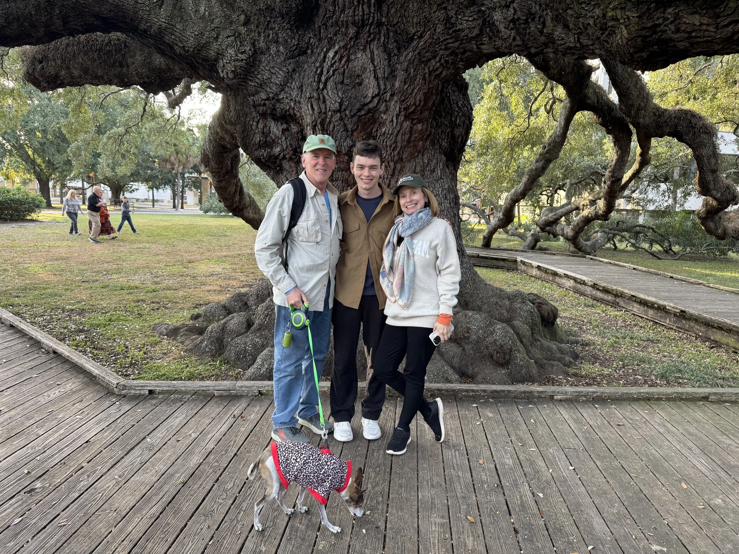 Family under tree.jpg
