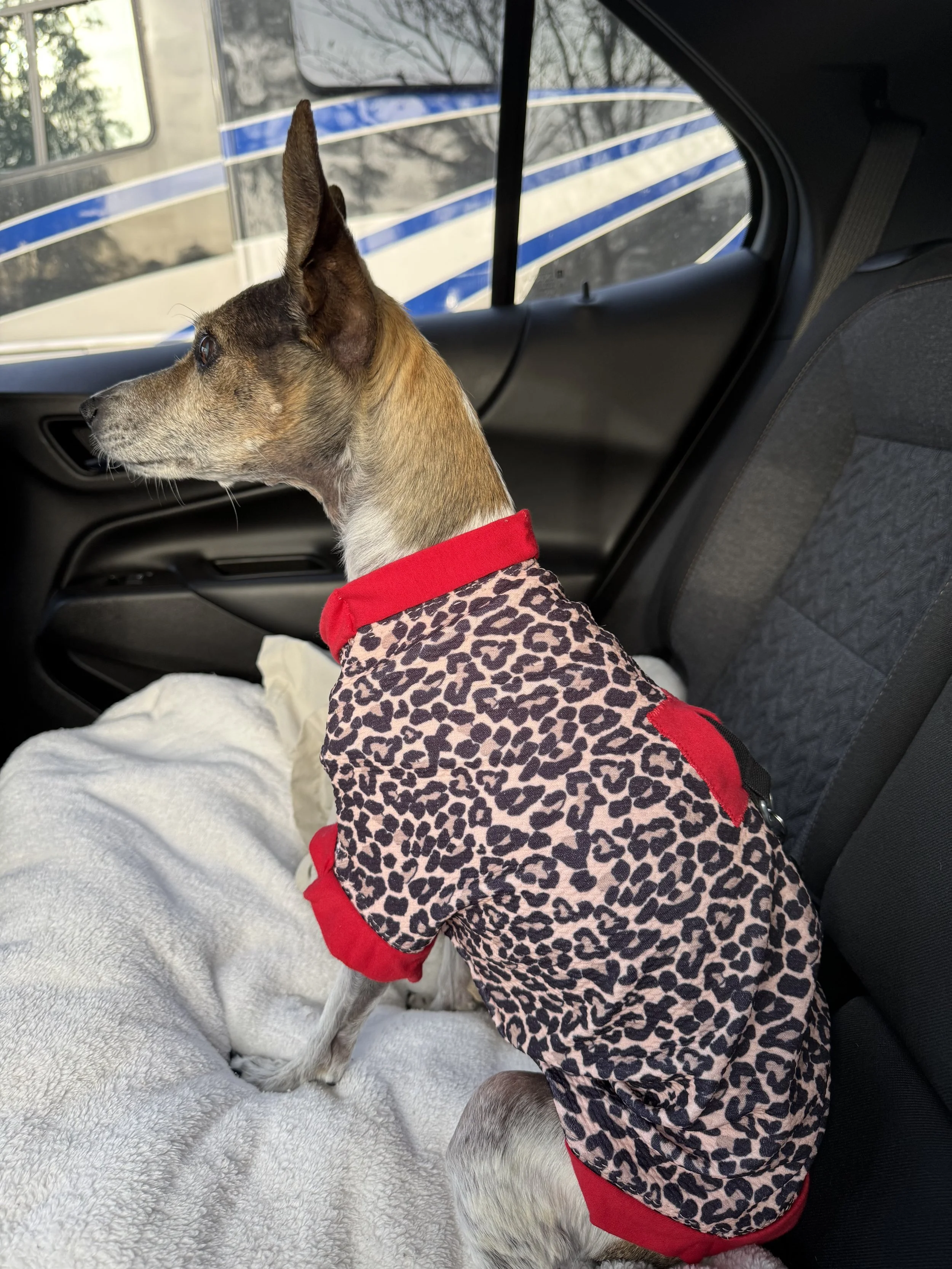 Nan's new sweater.jpg