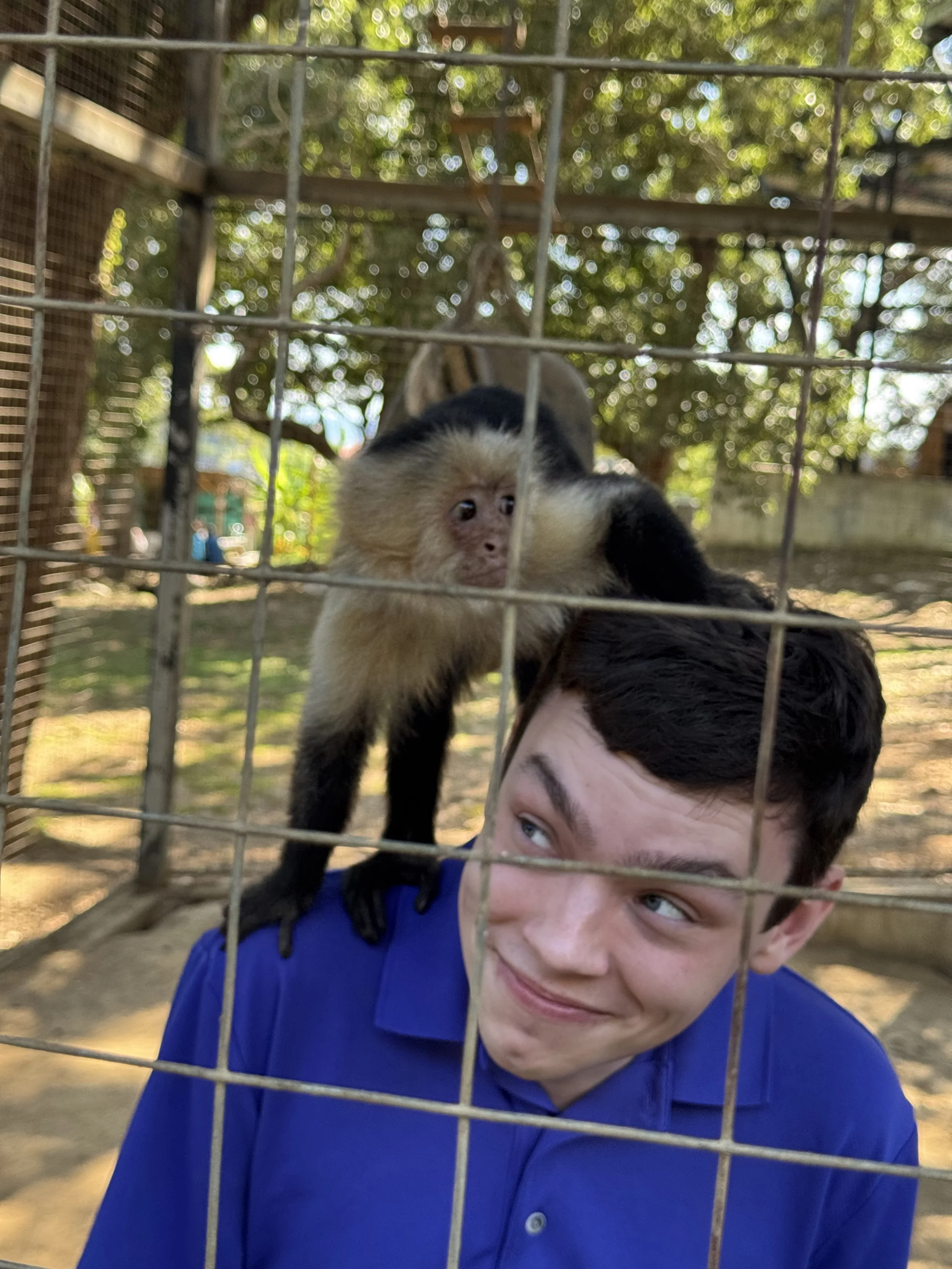 Monkey on Matthew.jpeg