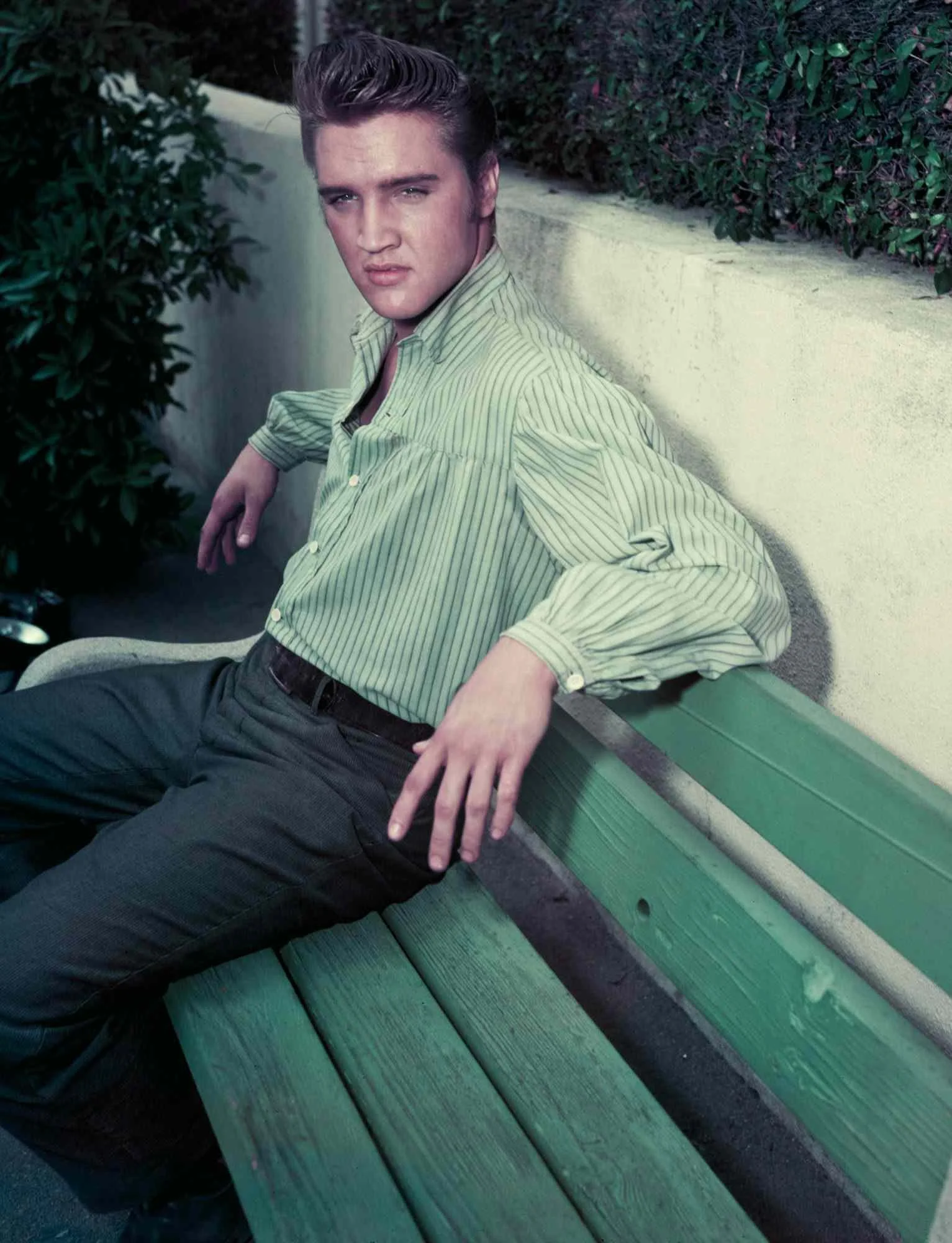 8-Elvis on bench.jpg