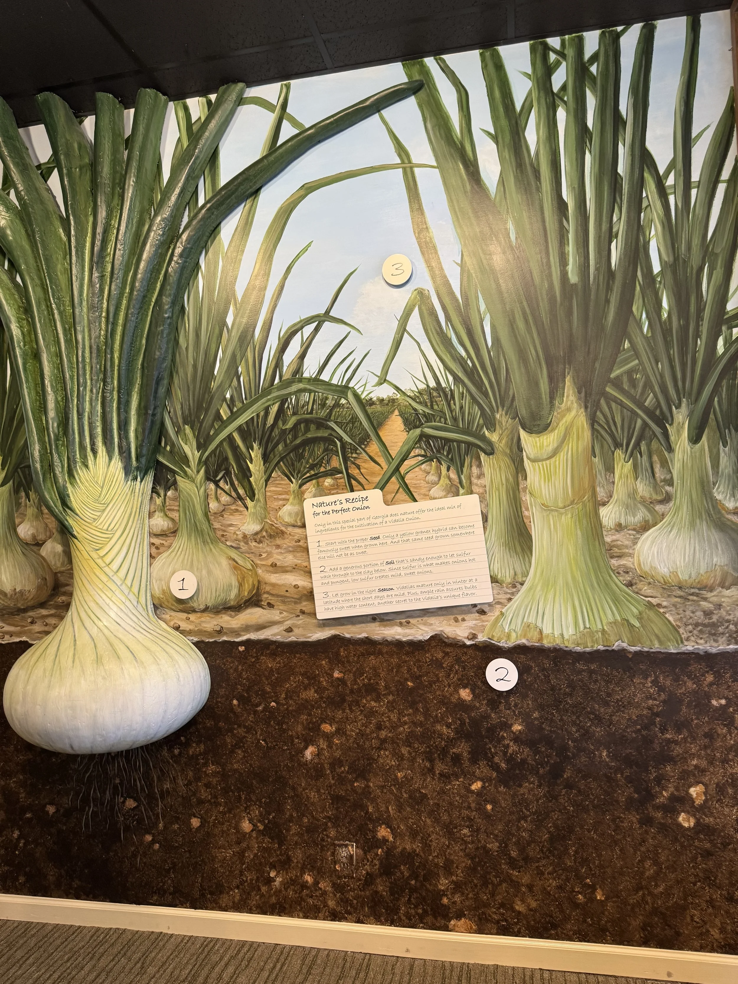 Onion field mural.jpeg