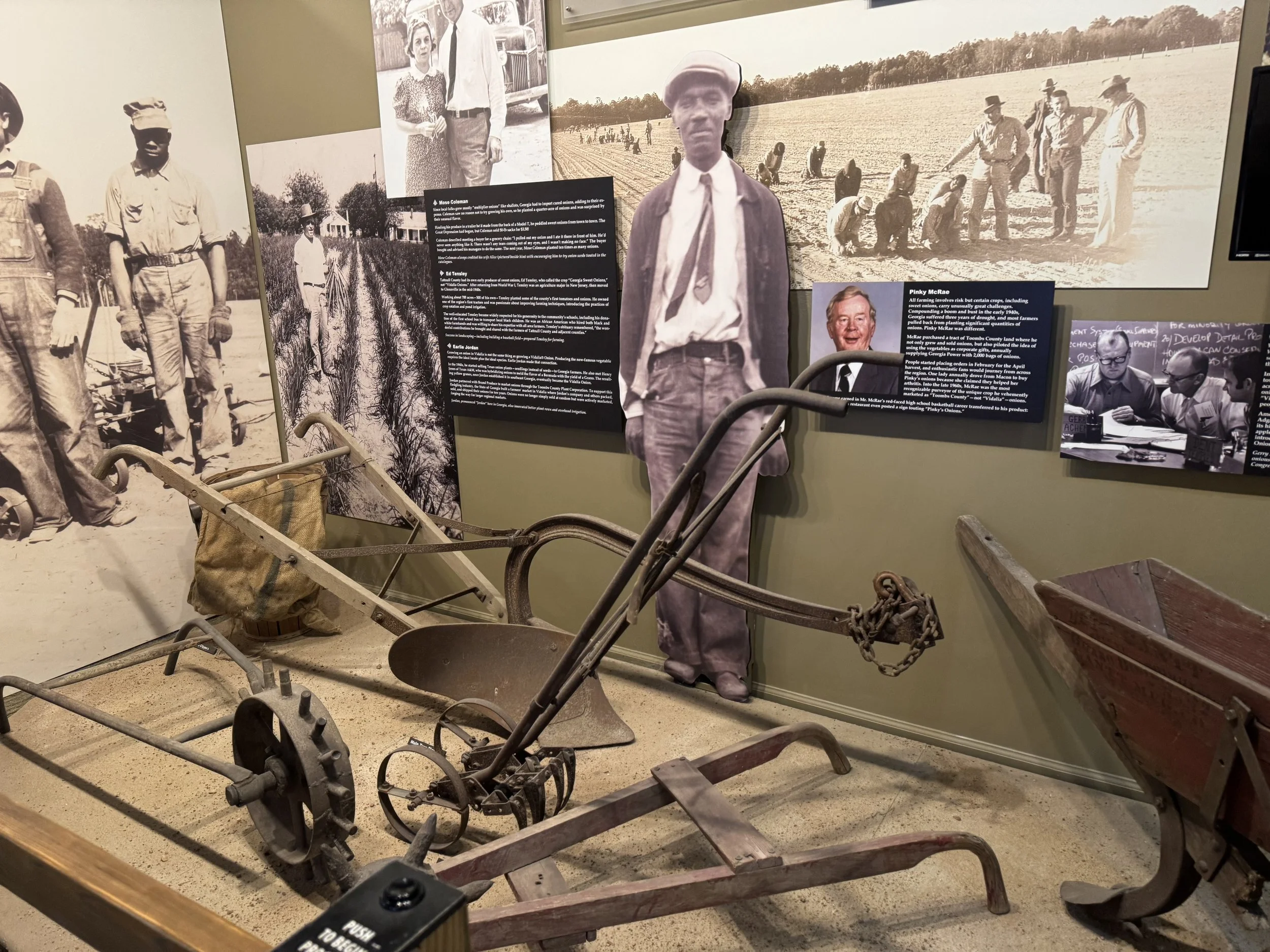 Onion farming display 1.jpeg