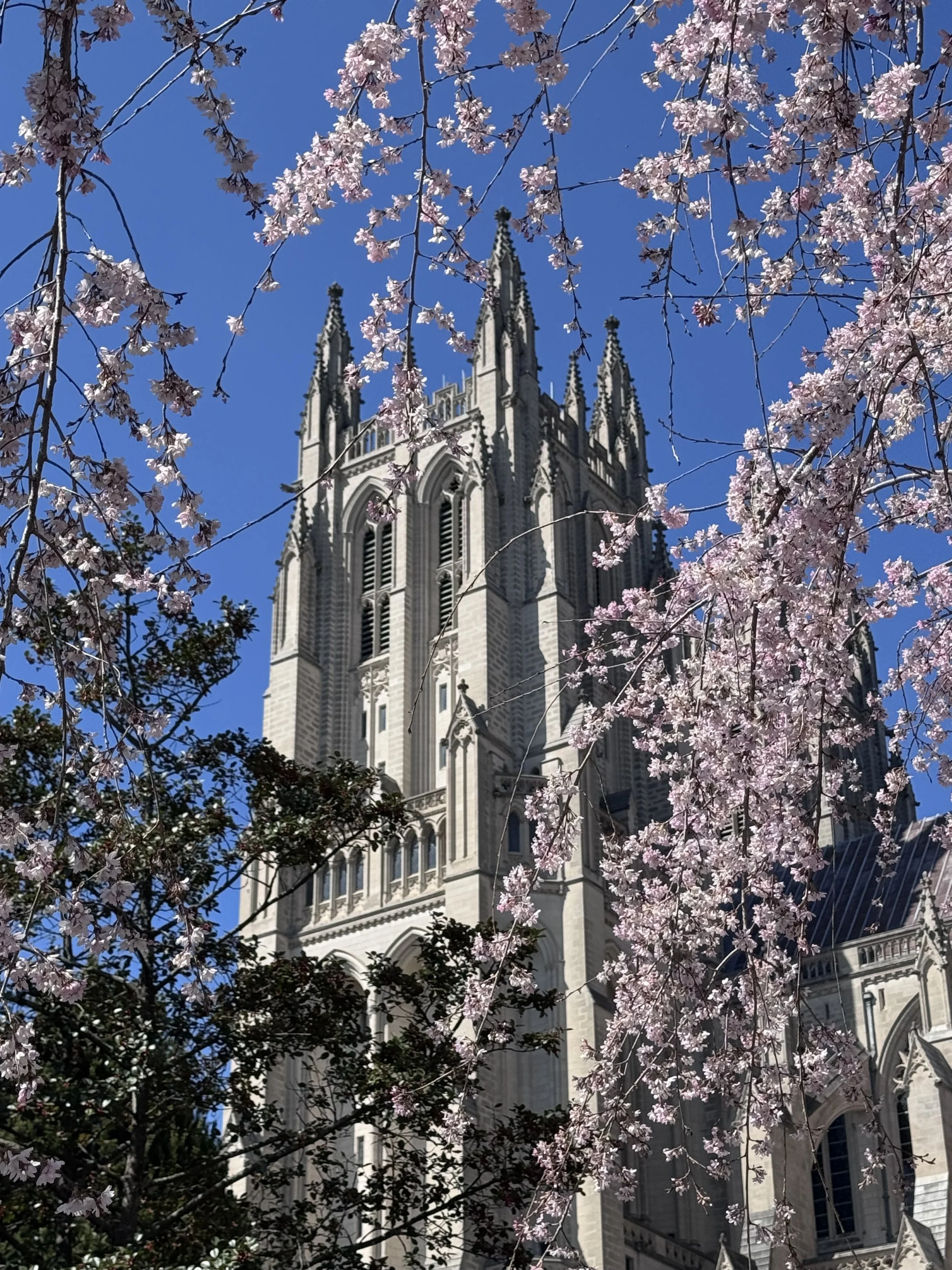 National Cathedral and D.C. Zoo