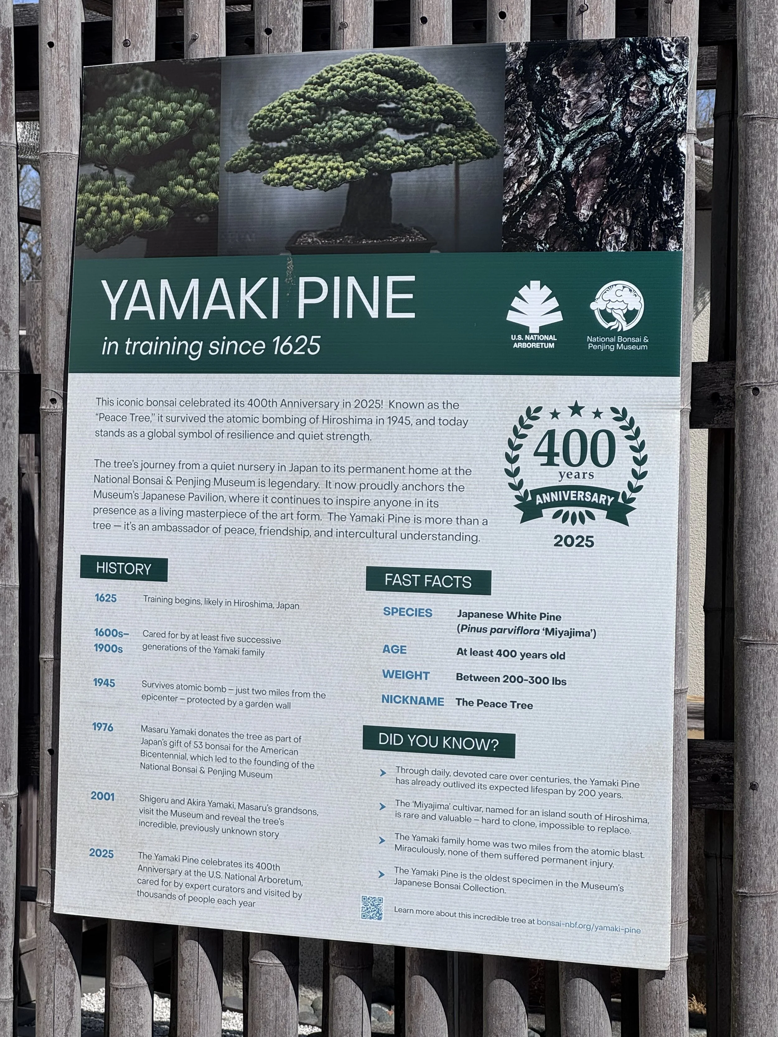 Yamakai tree sign.jpeg