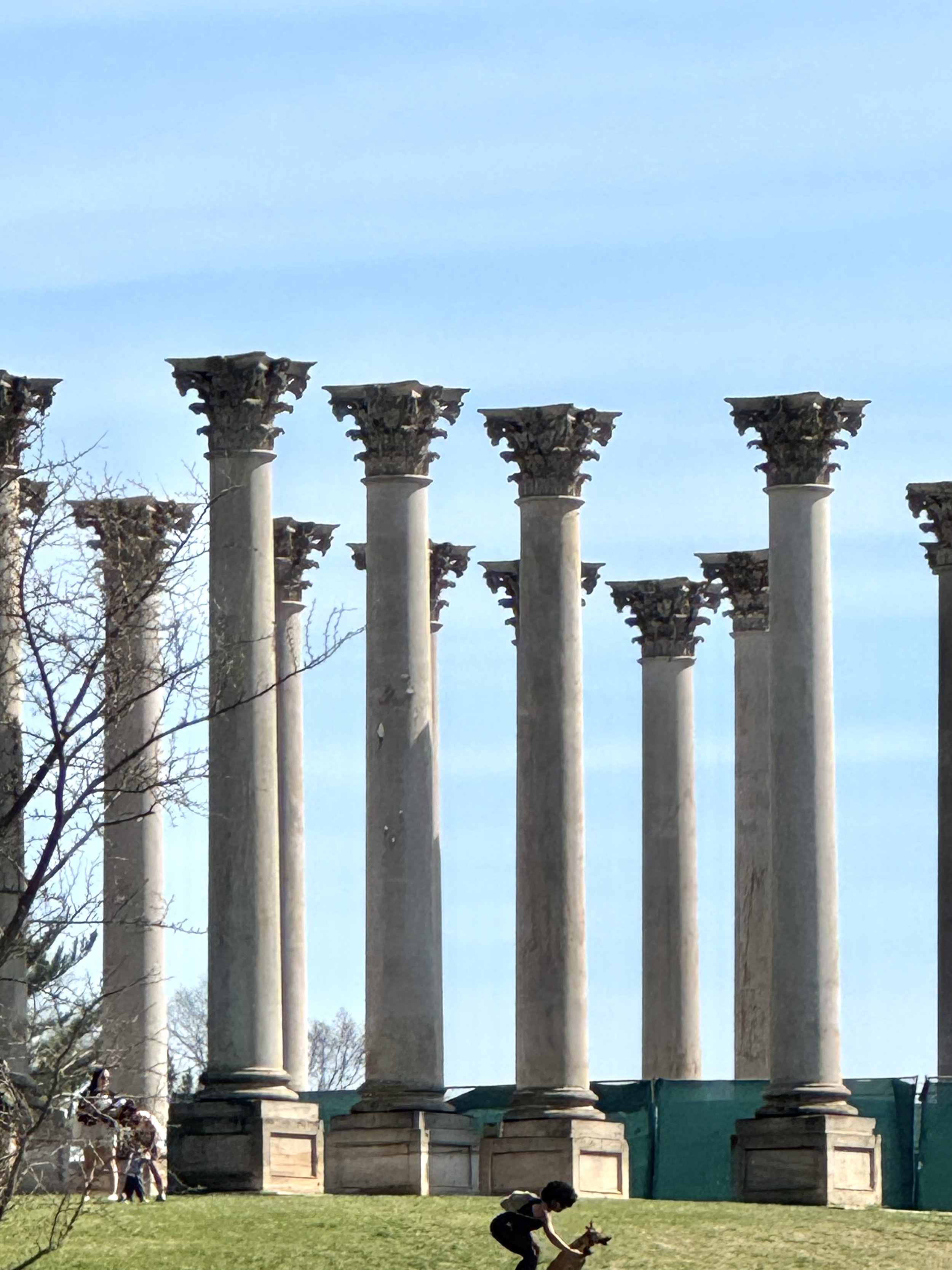 Columns 2.jpeg