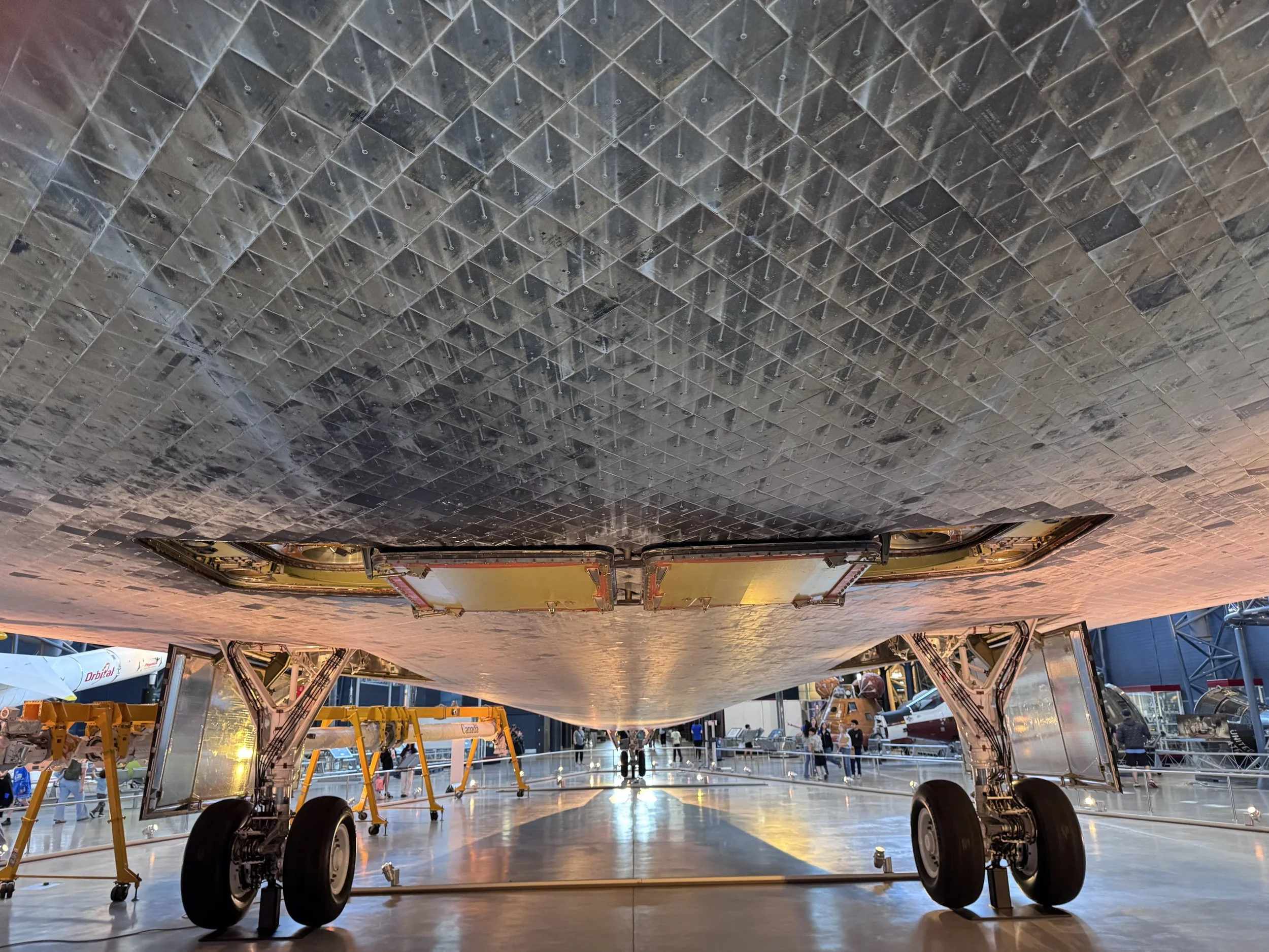 1-SS underbelly.jpeg