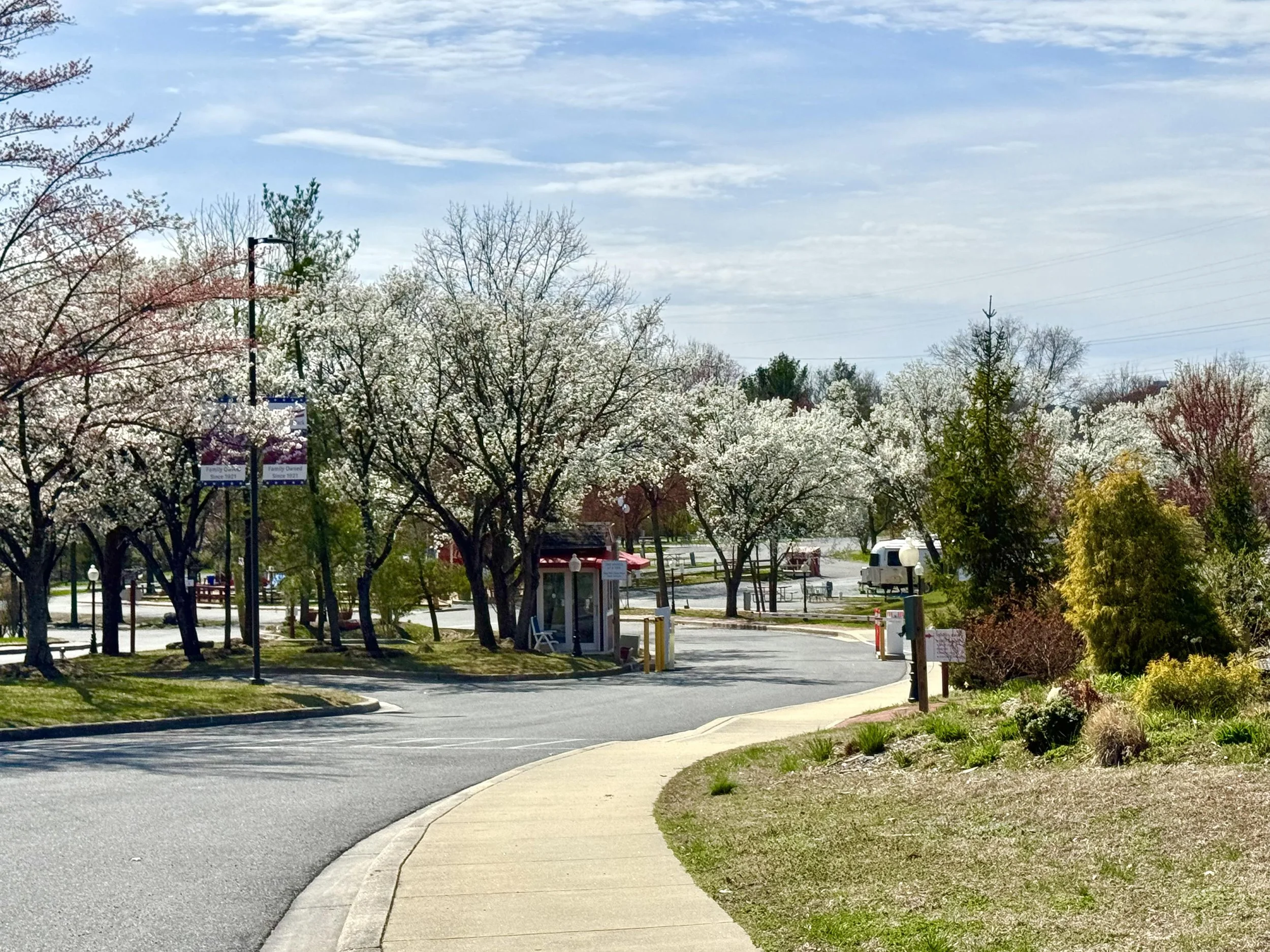 Cherry Hill 2.jpeg