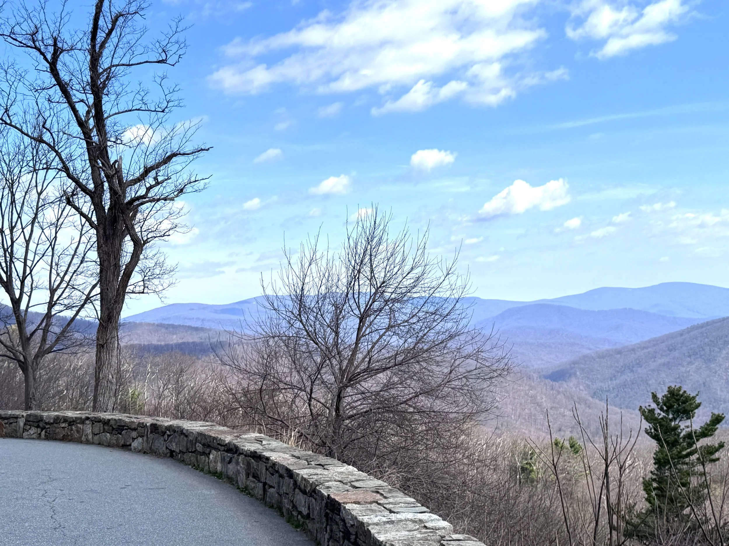 Beuatiful vista.jpeg