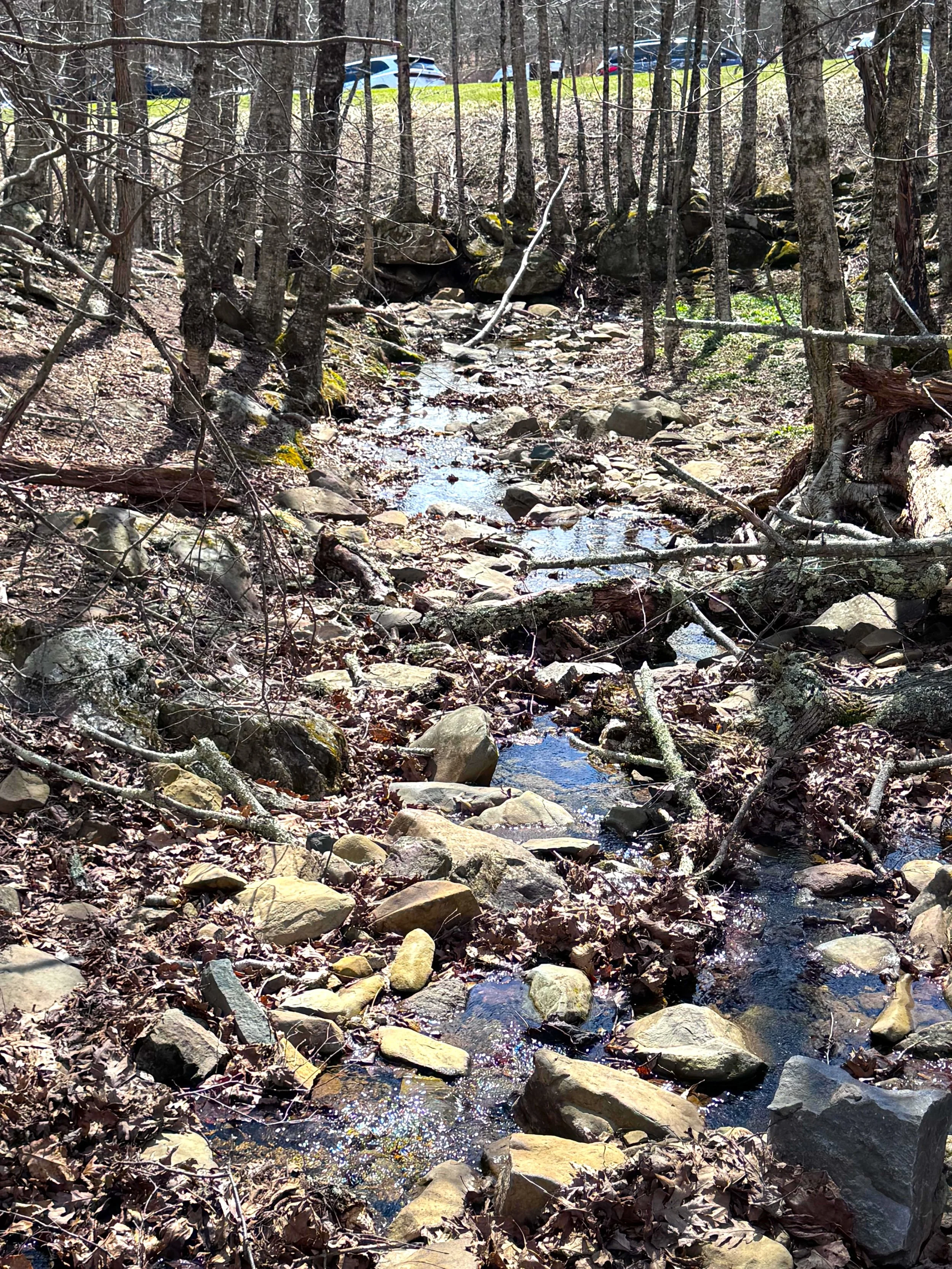 Creek.jpeg