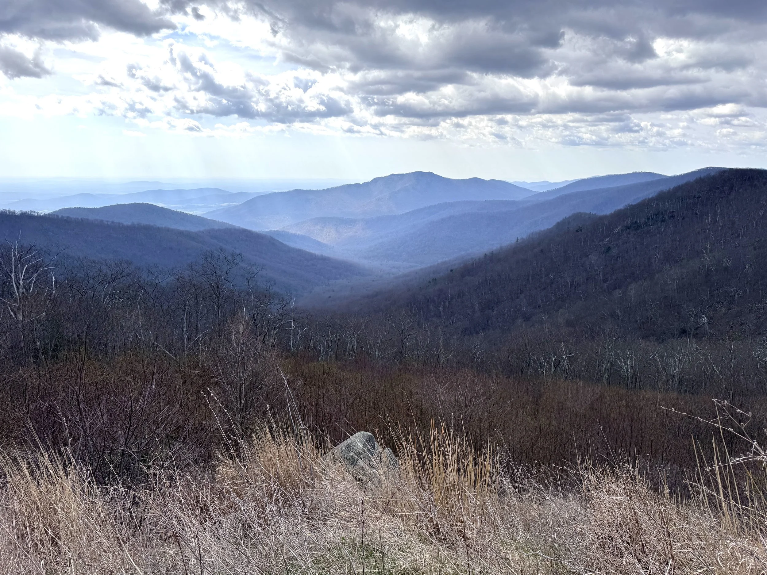 Beuatiful vista 2.jpeg