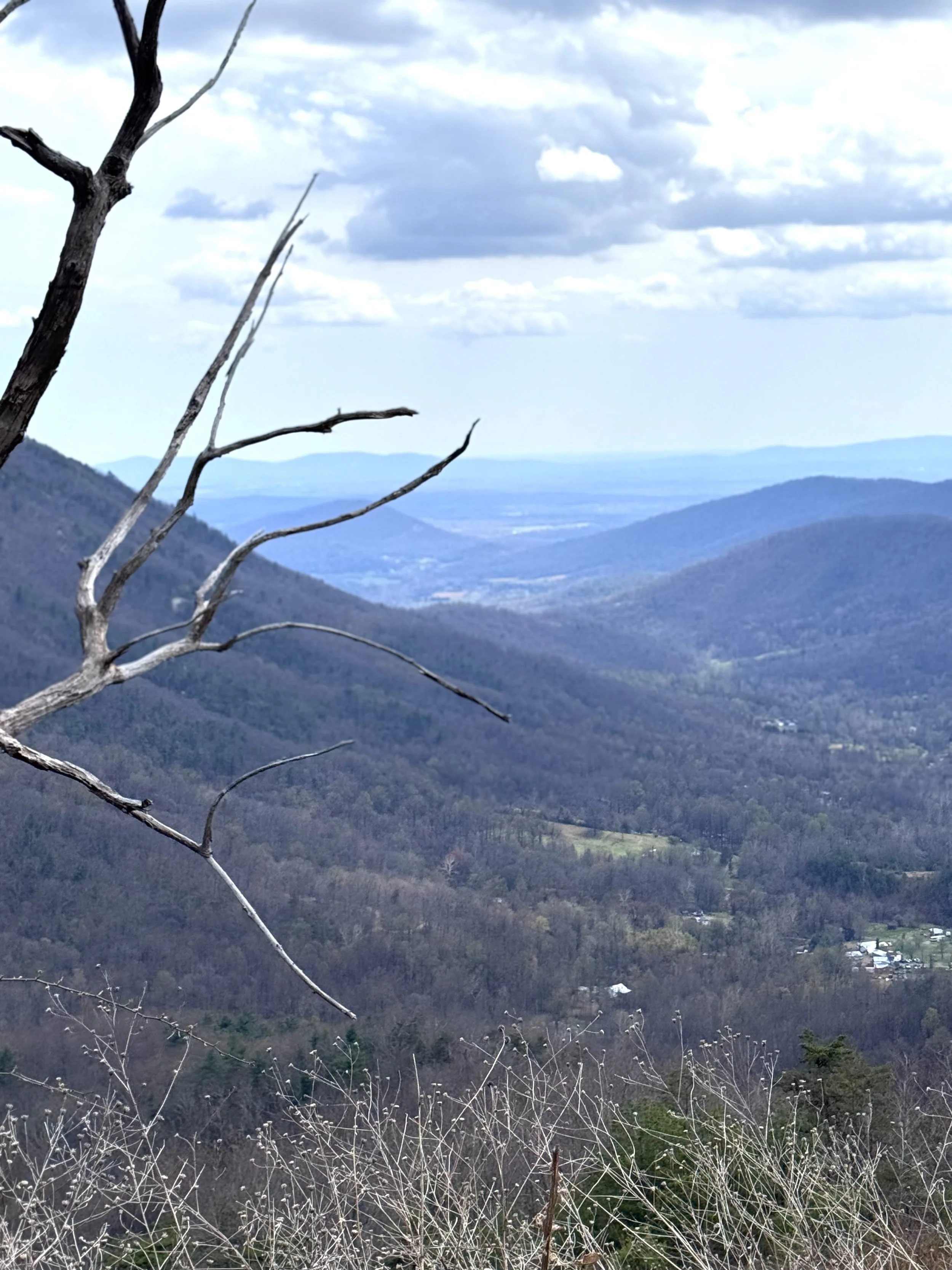 Beuatiful vista 3.jpeg