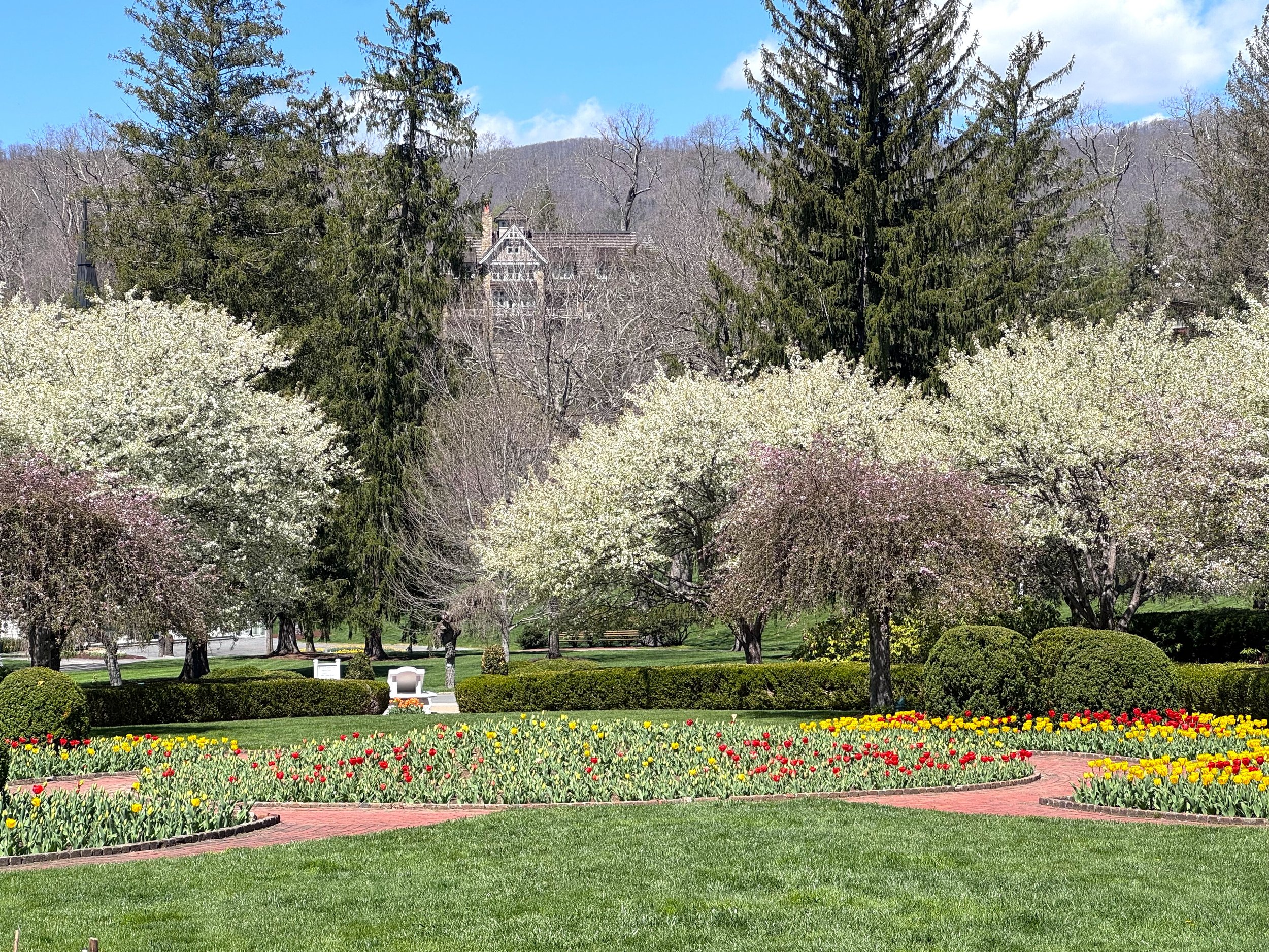 More outdoor trees.jpeg