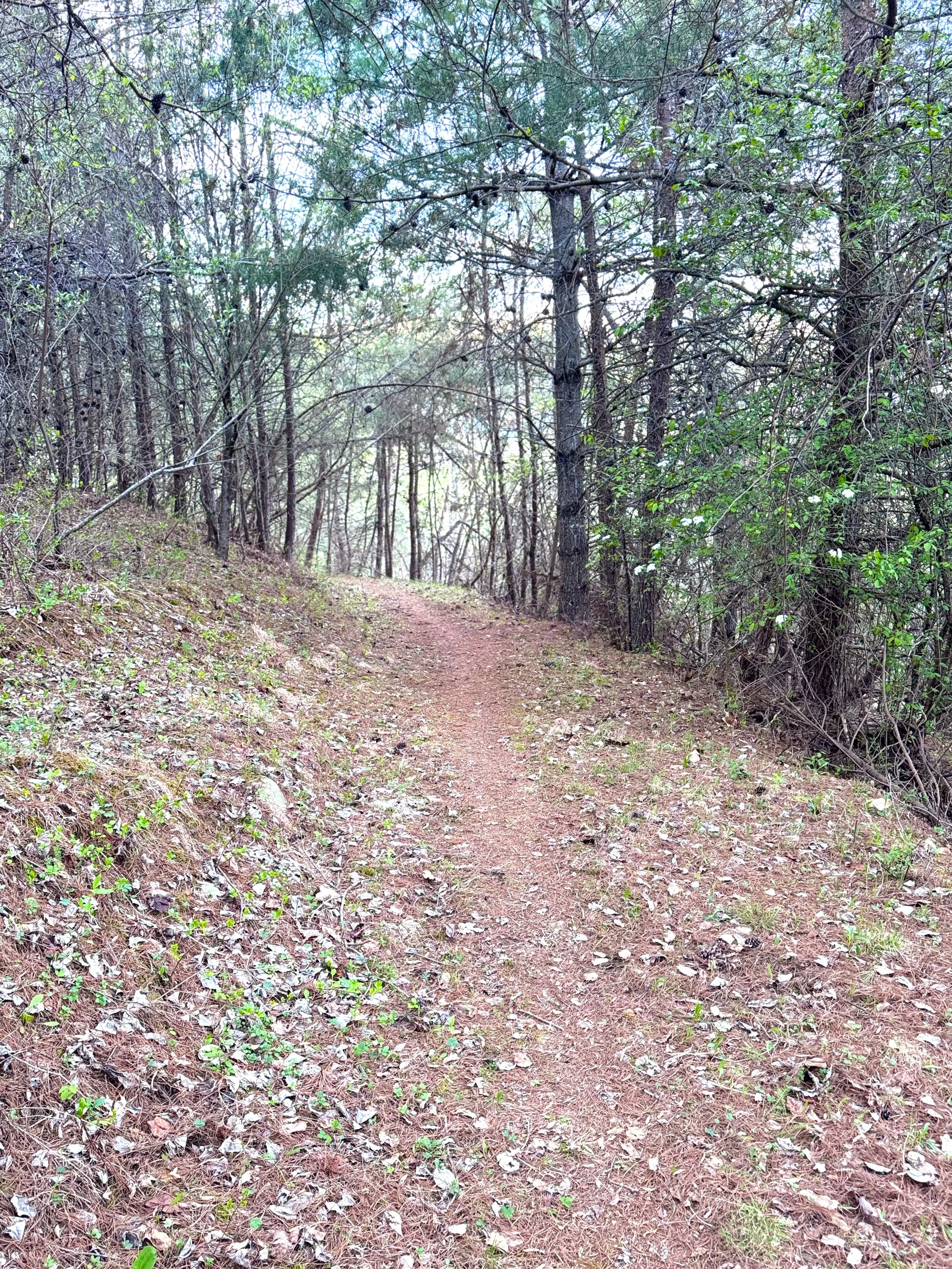 Campground Trail.jpeg