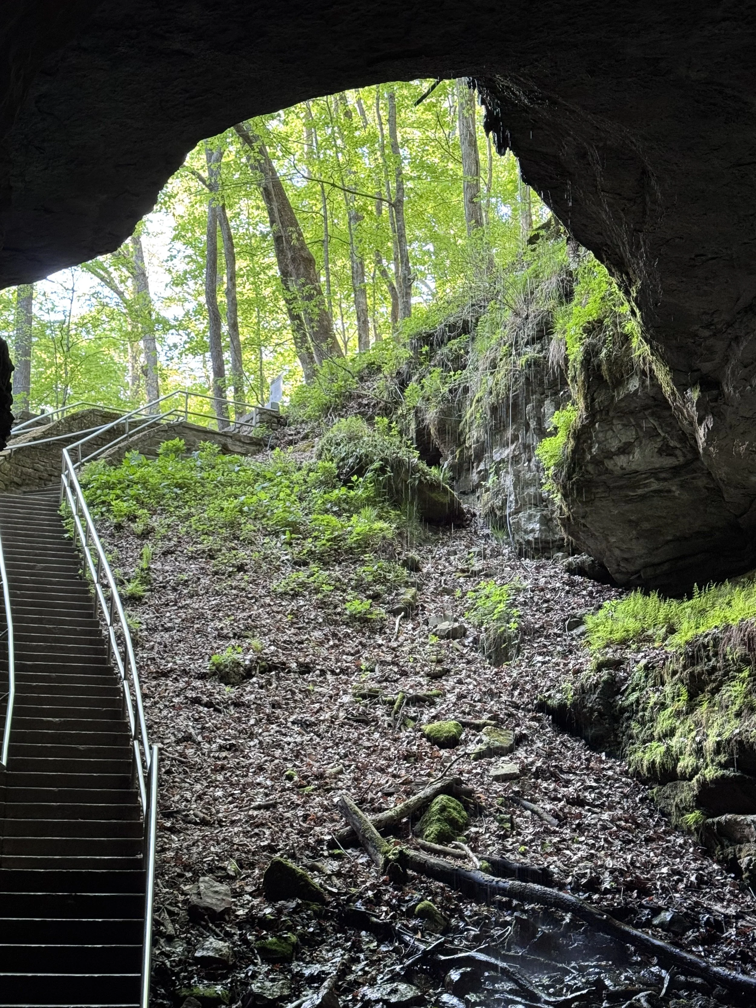 Coming out of the cave.jpeg