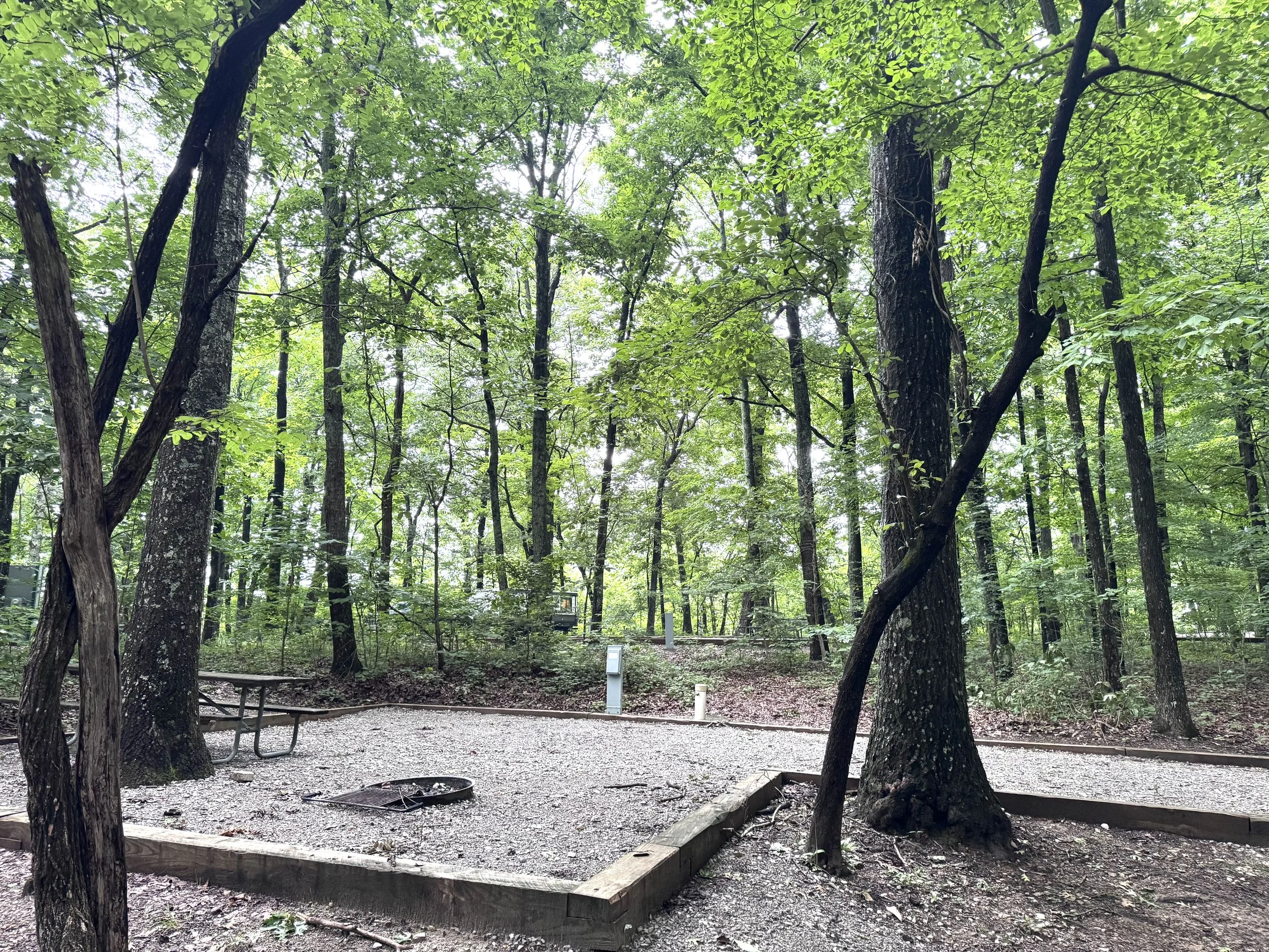 Camp site.jpeg
