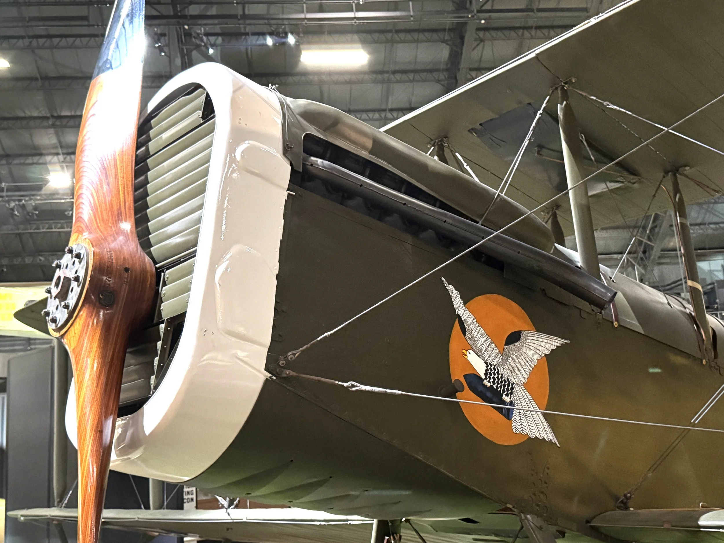 Gorgeous green plane 2.jpeg