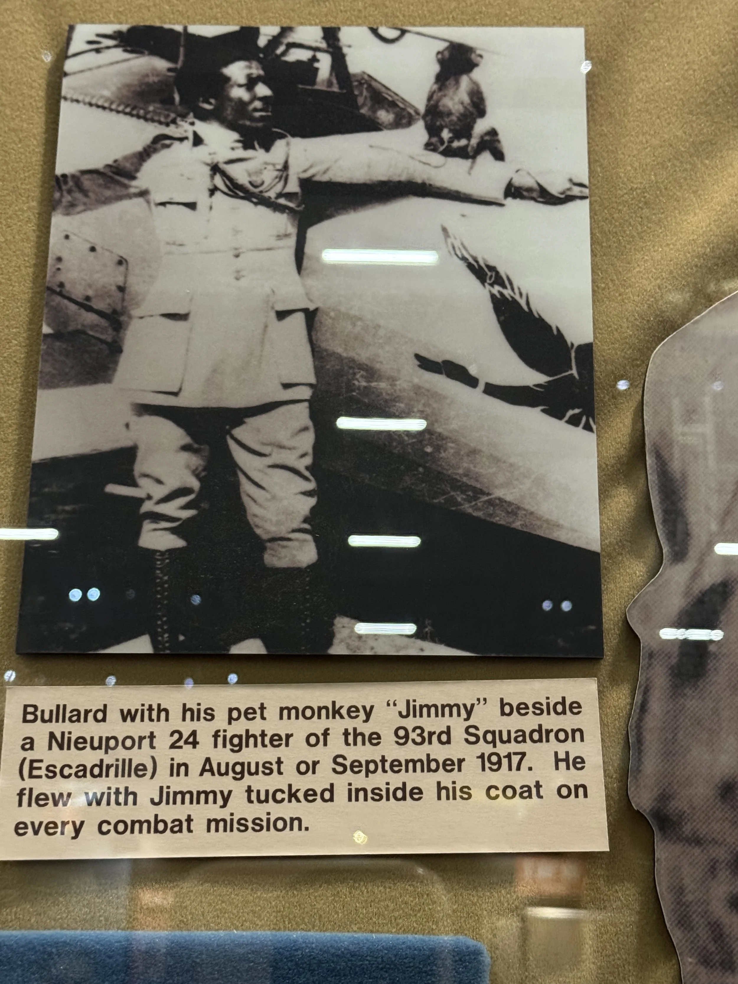 Pilot with monkey.jpeg
