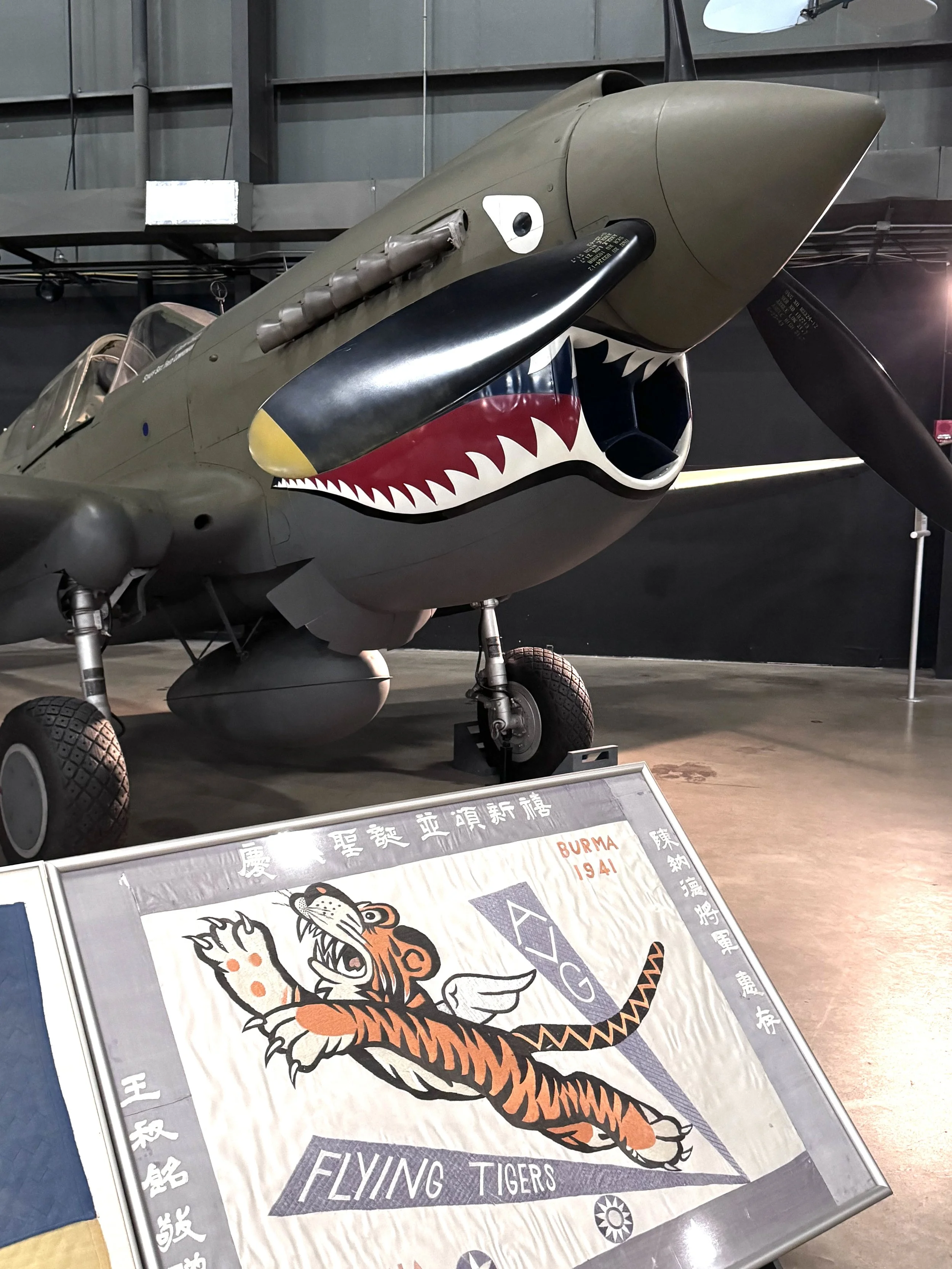 WW2_Fighting Tiger.jpeg