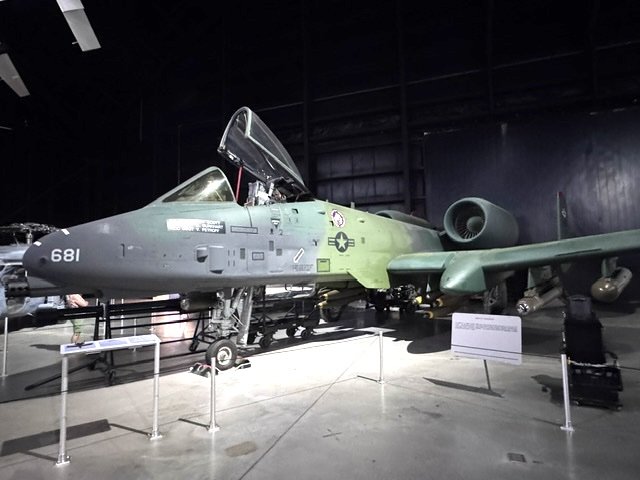 Warthog.jpeg