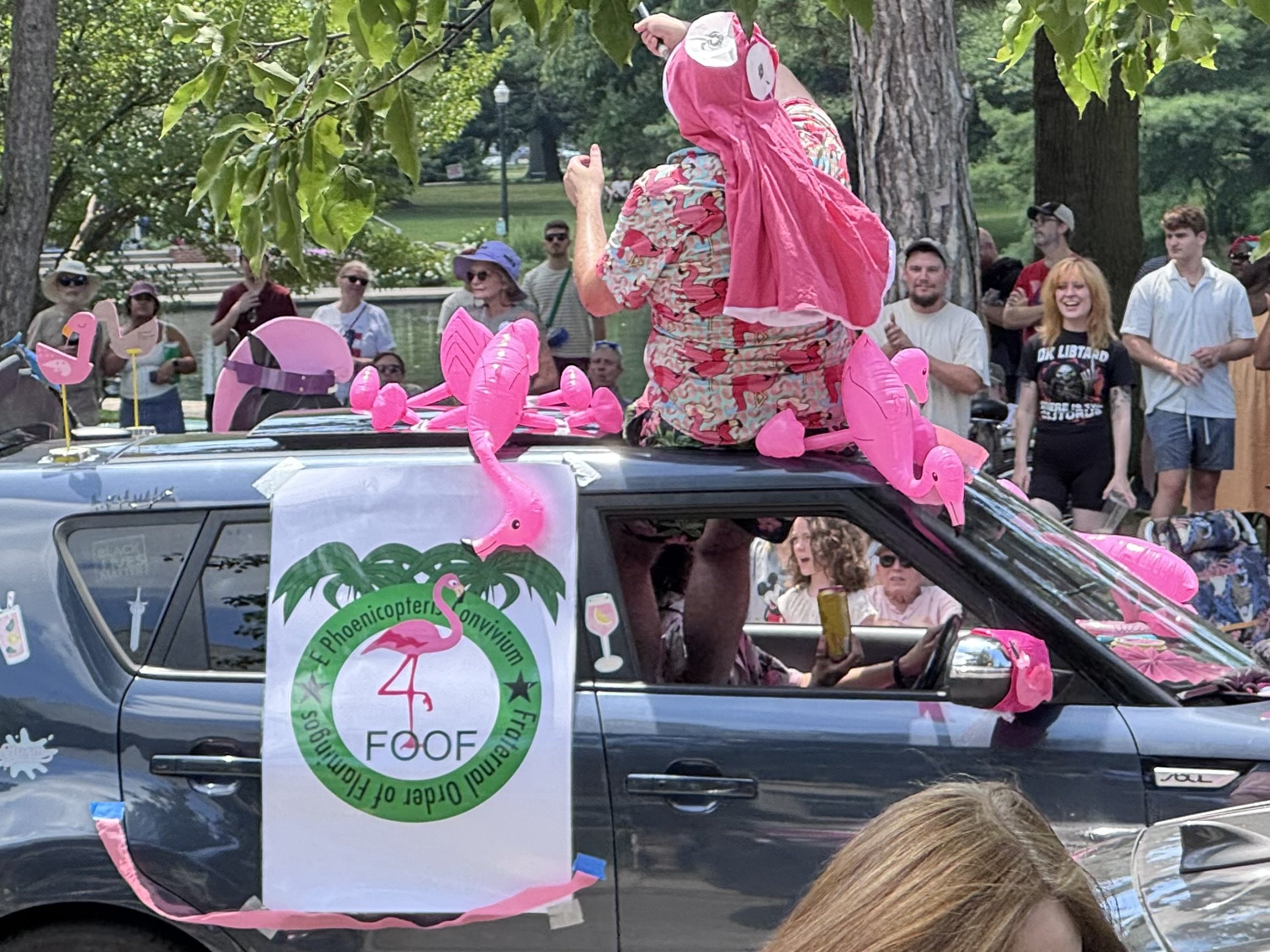 Flamingo car.jpeg
