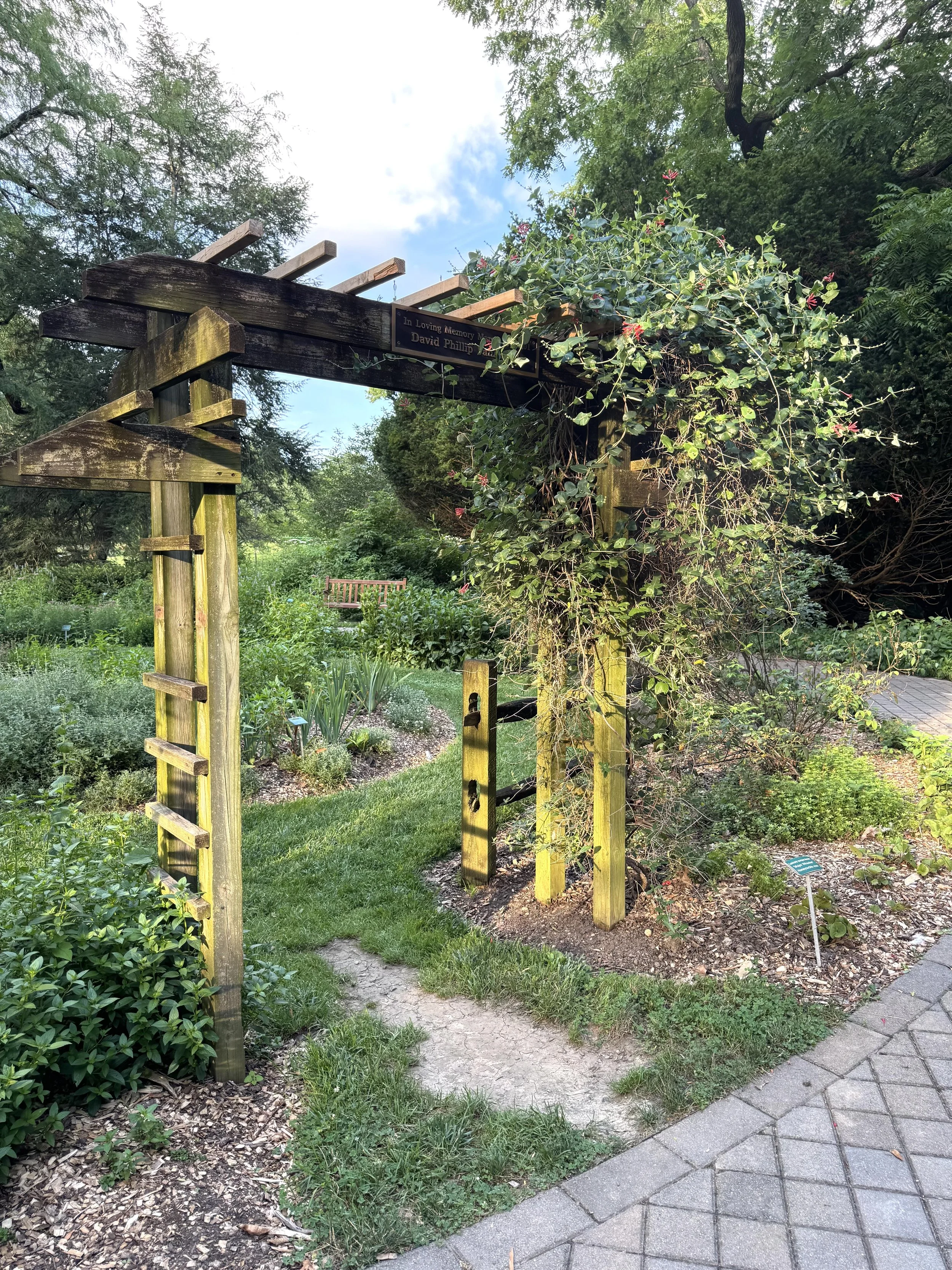 Trellis in garden.jpeg