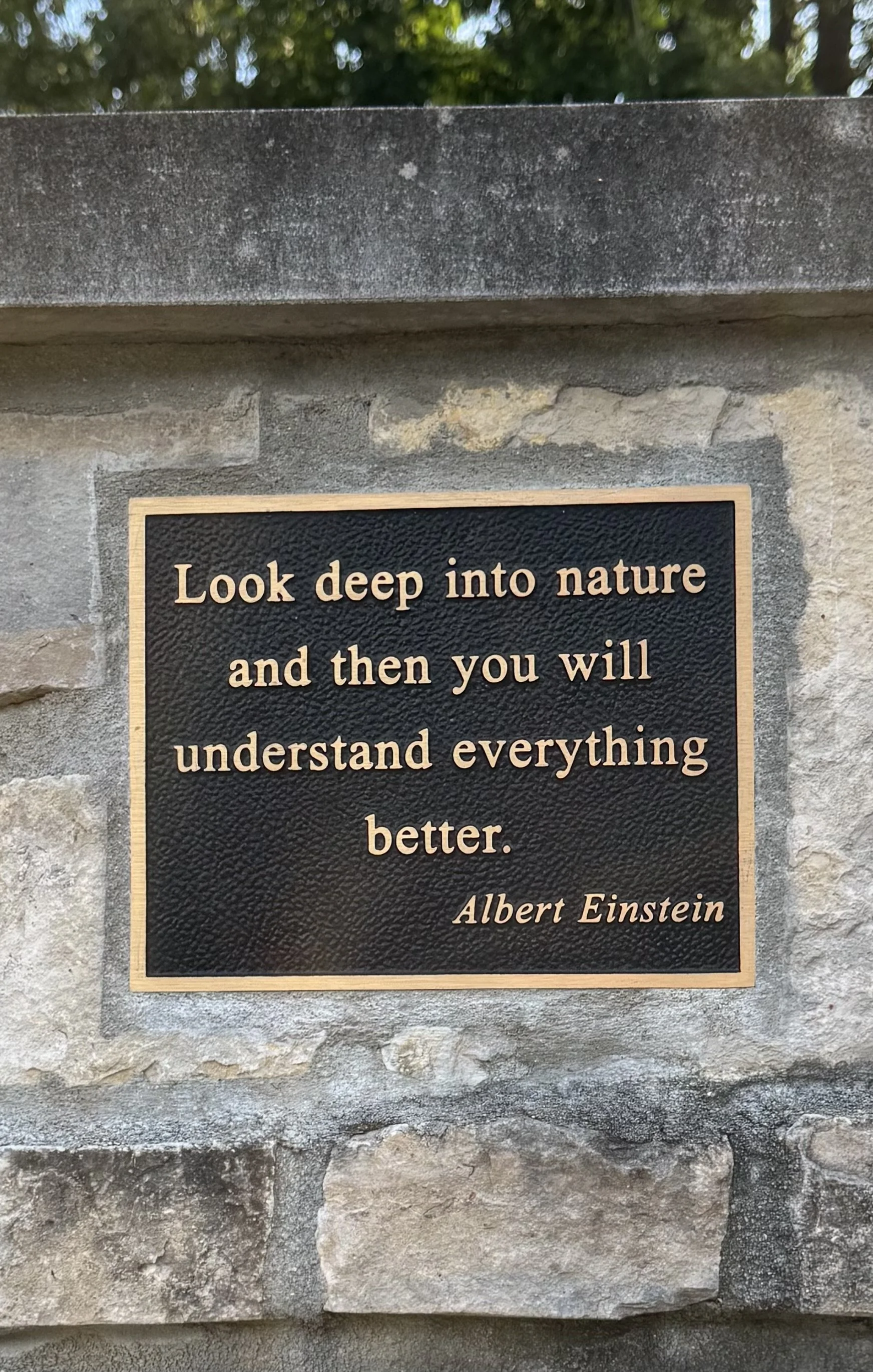 Einstein quote.jpeg