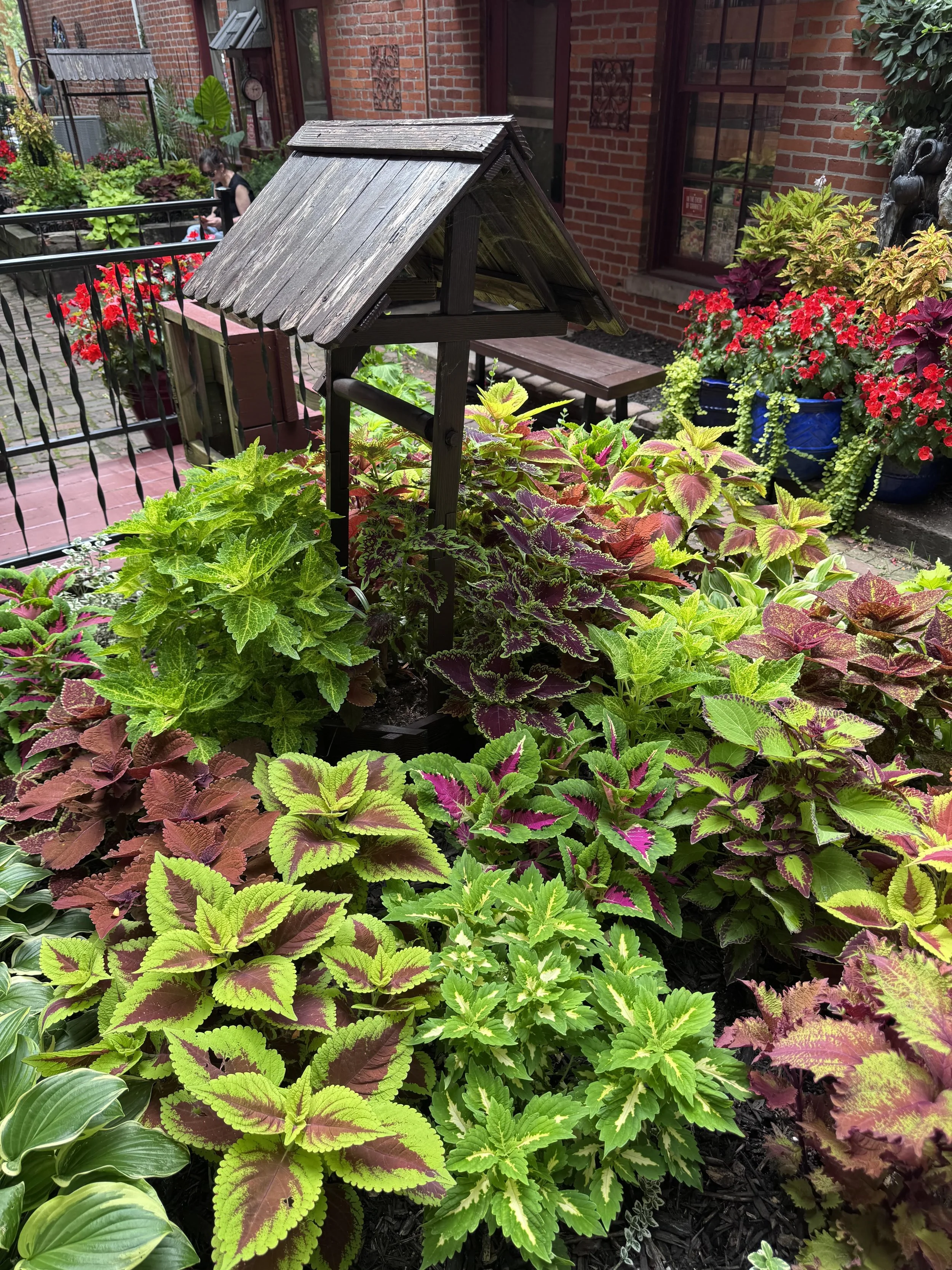 Garden by bookstore.jpg