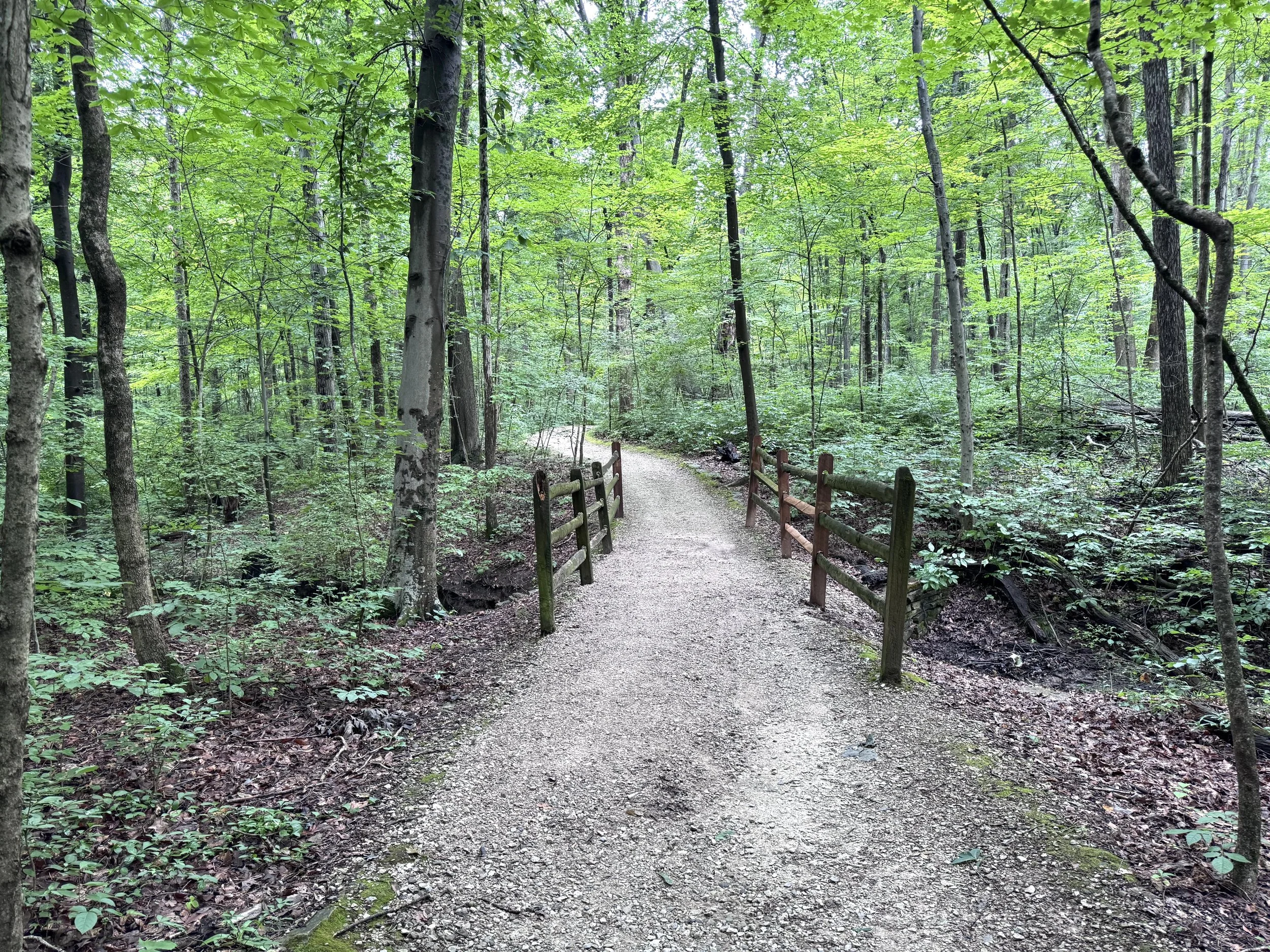 Lovely trail 2.jpeg