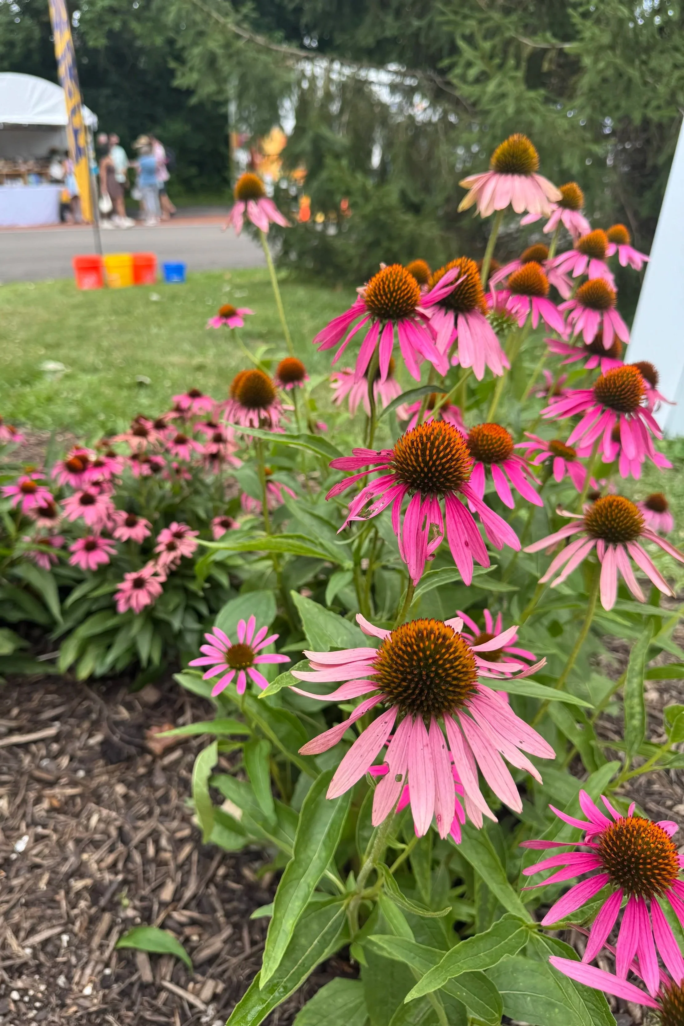 Inniswood Gardens