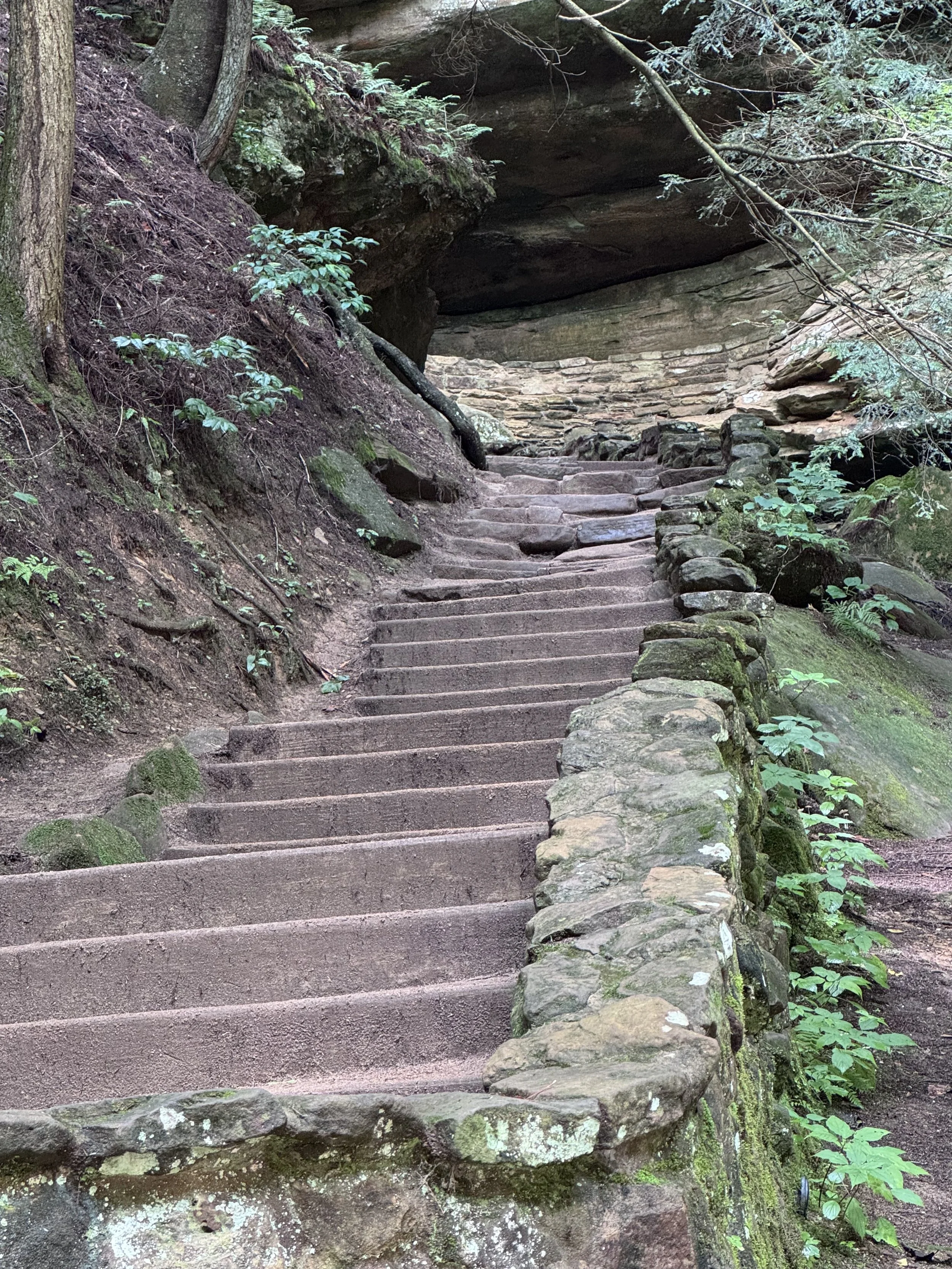 Stairs going up.jpeg