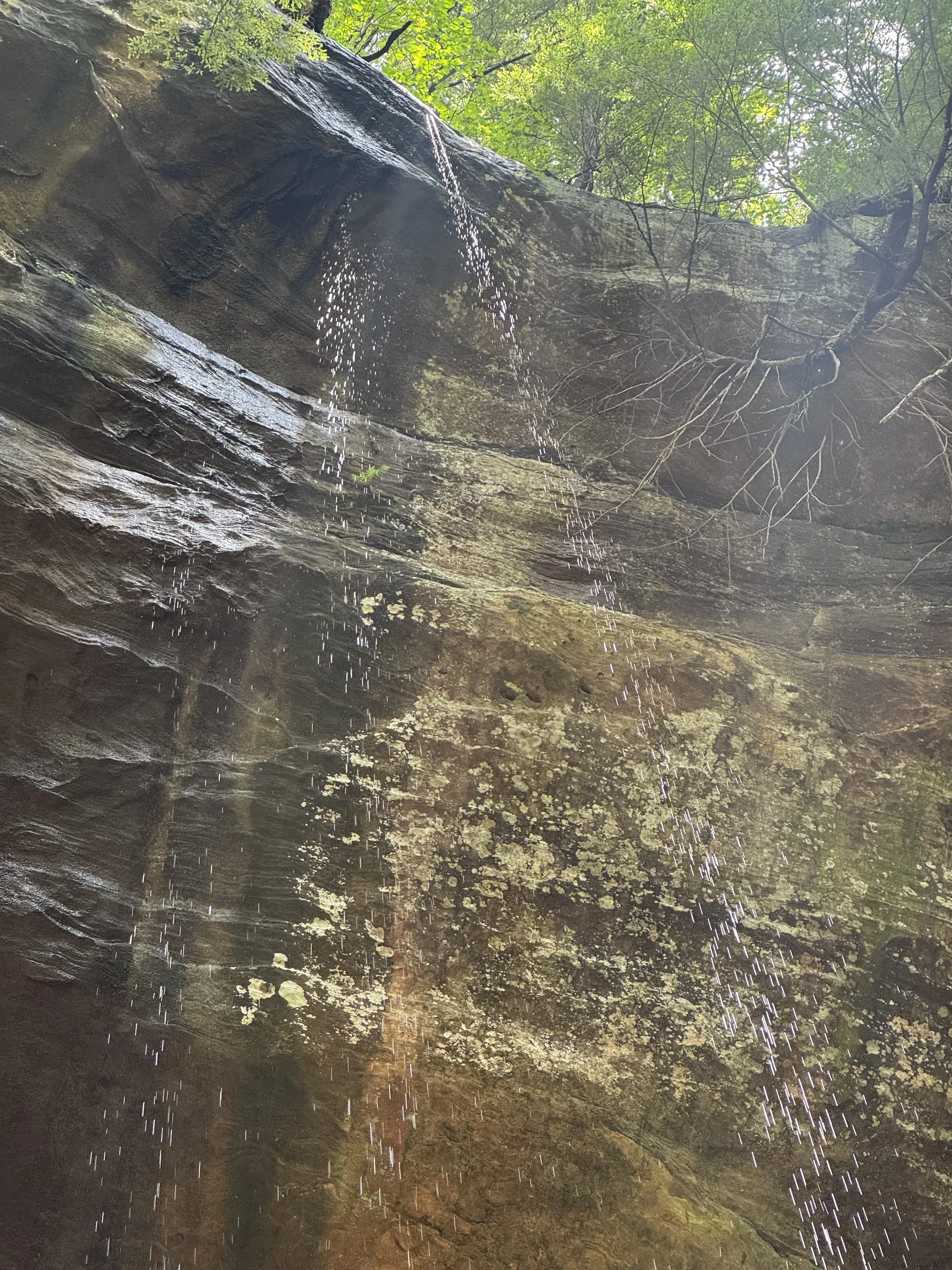 Water dripping from rocks.jpeg