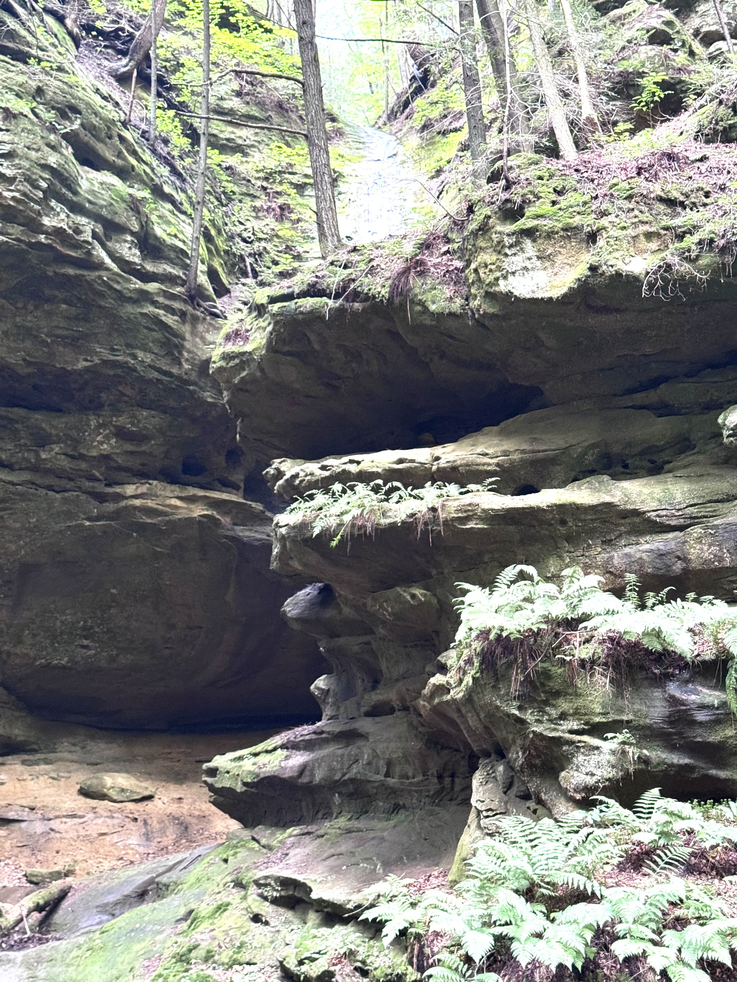 Rock outcropping 2.jpeg