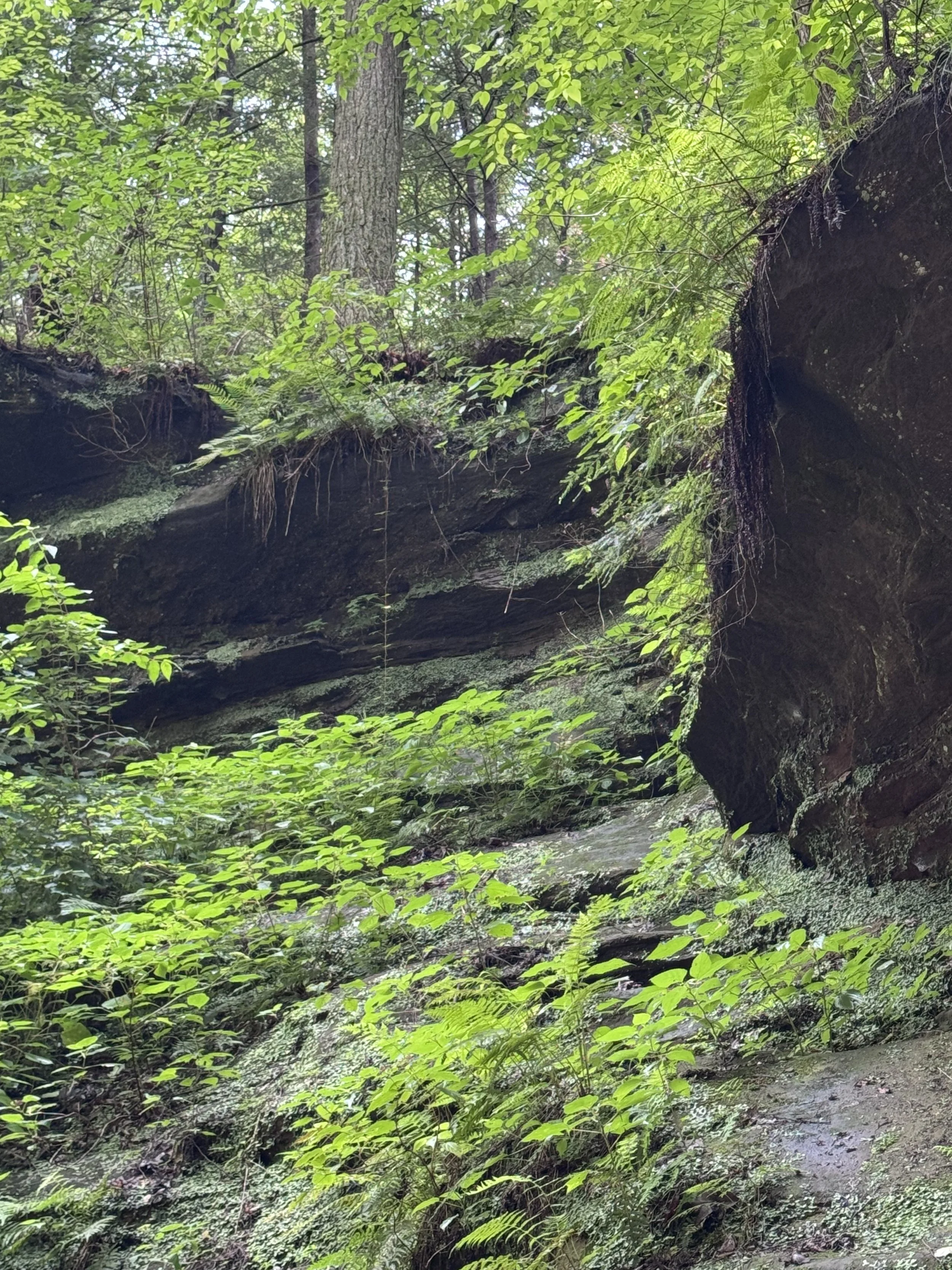 Rock outcropping 3.jpeg
