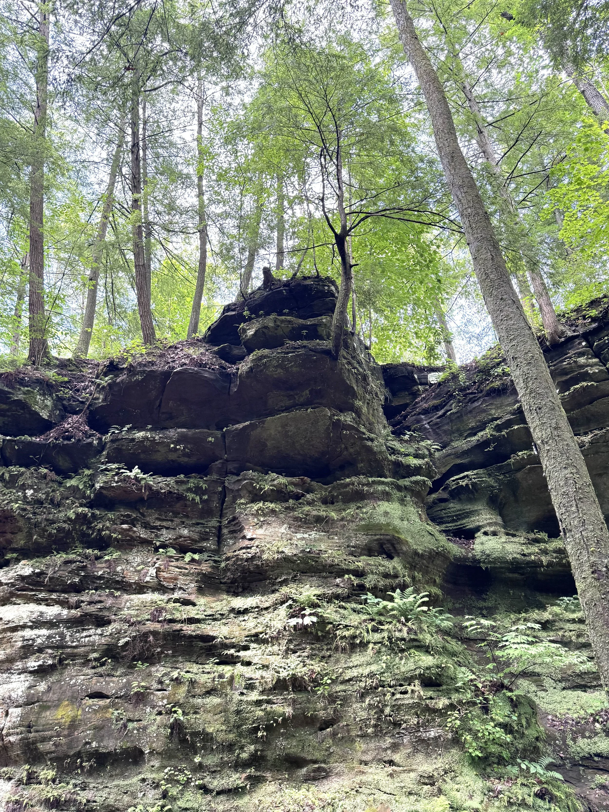 Rock outcropping 4.jpeg