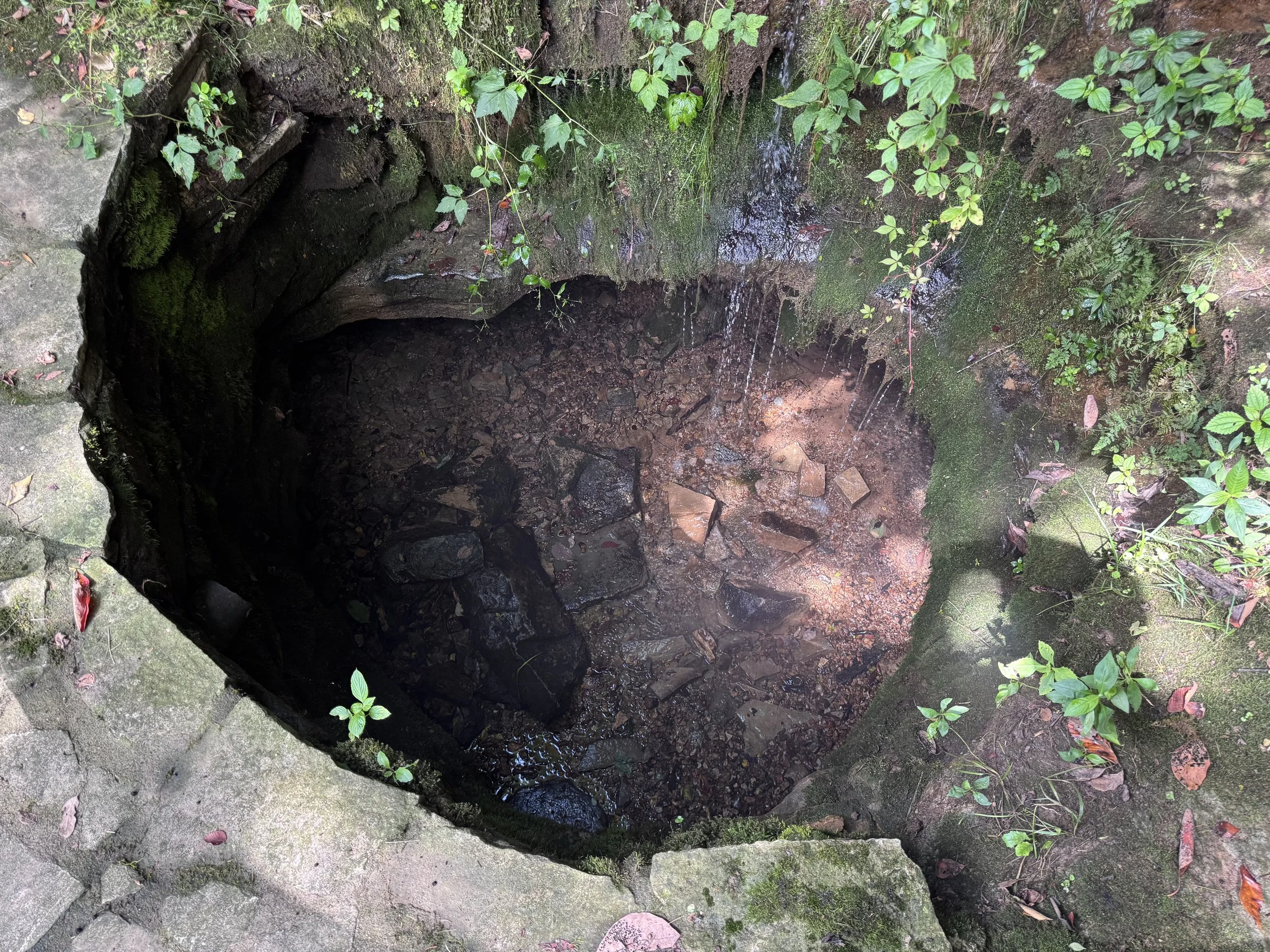 Sunken Spring 4.jpeg