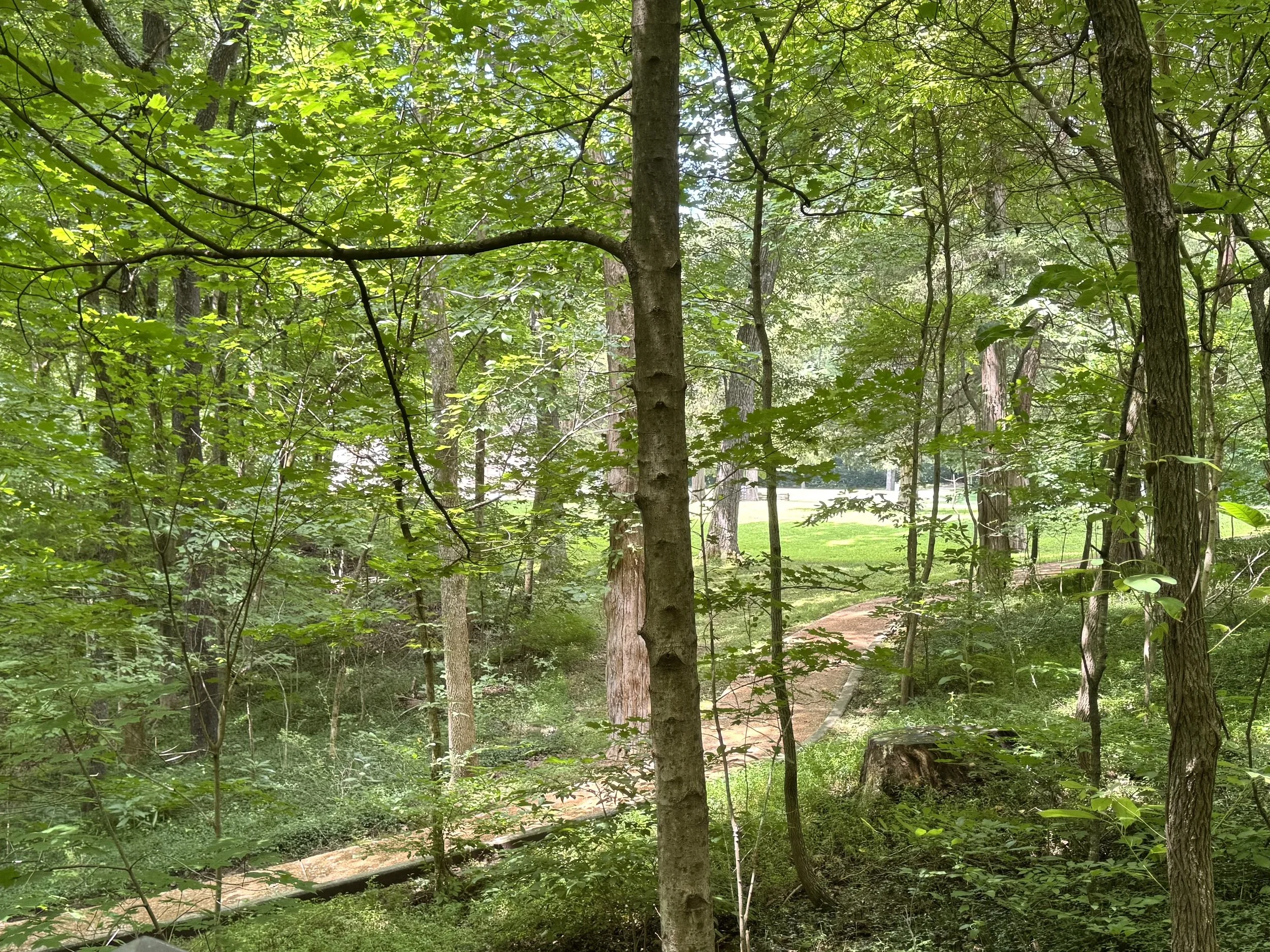 Trail 1a.jpeg