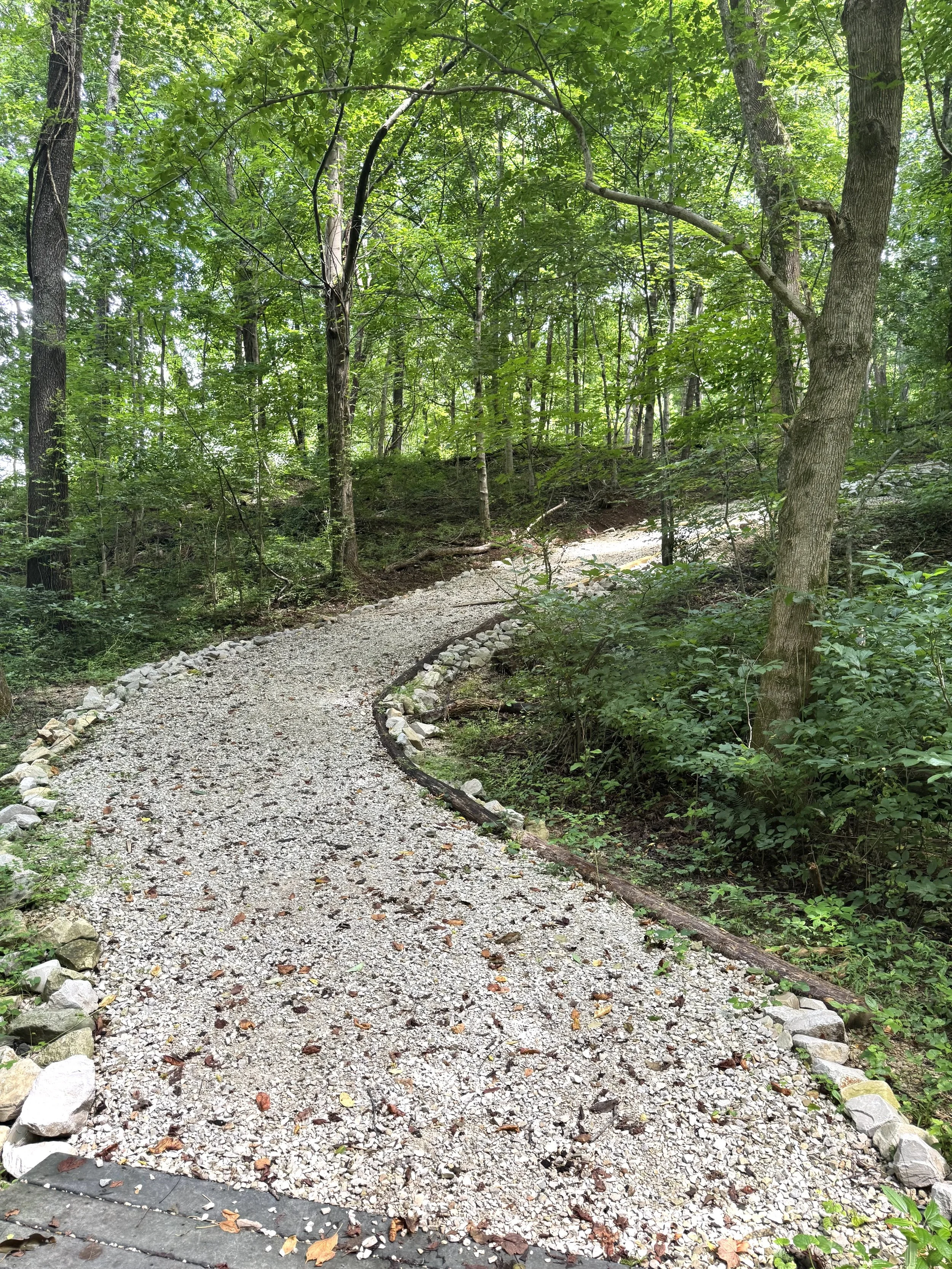 Trail 3.jpeg