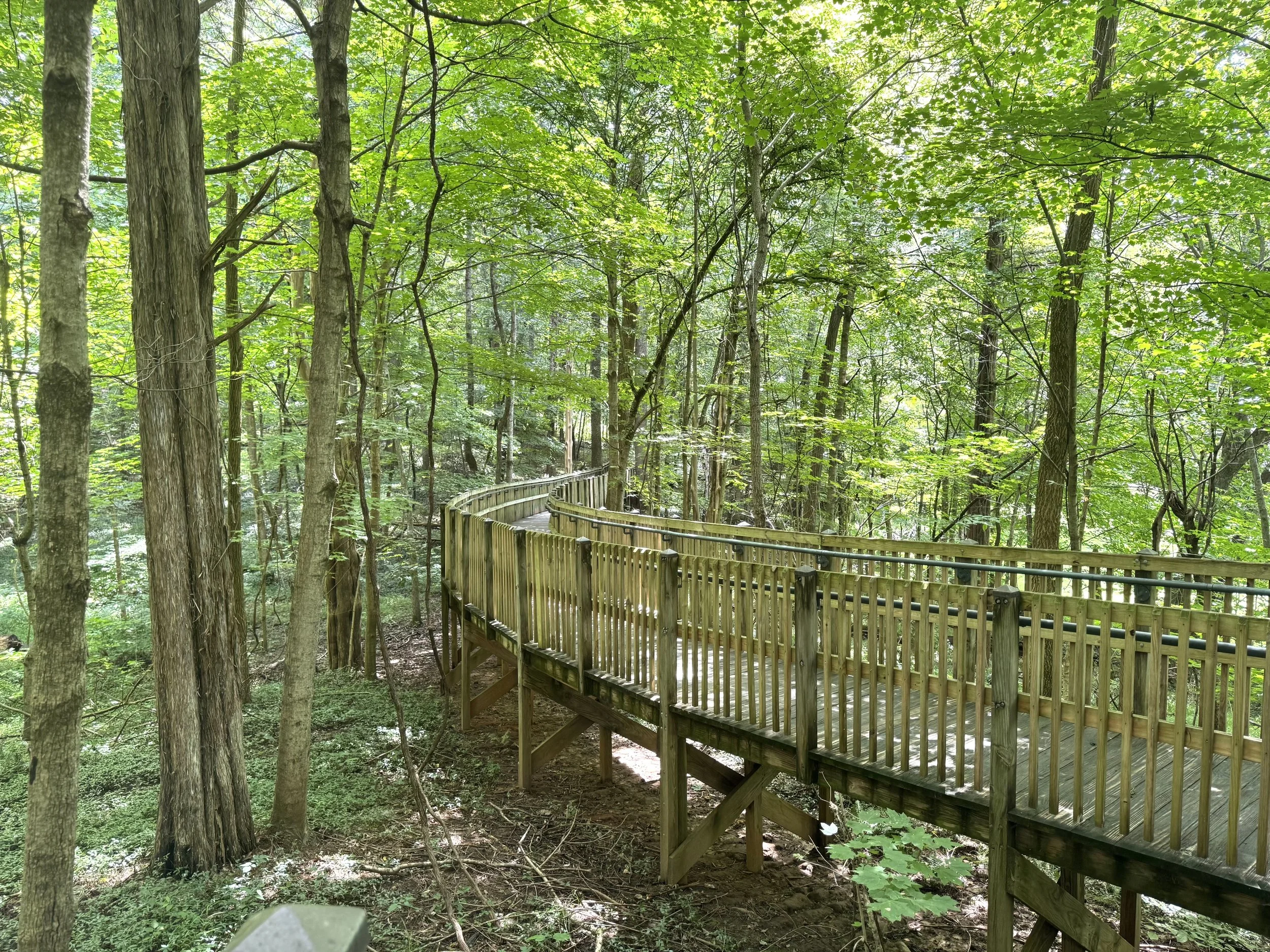 Trail 4.jpeg