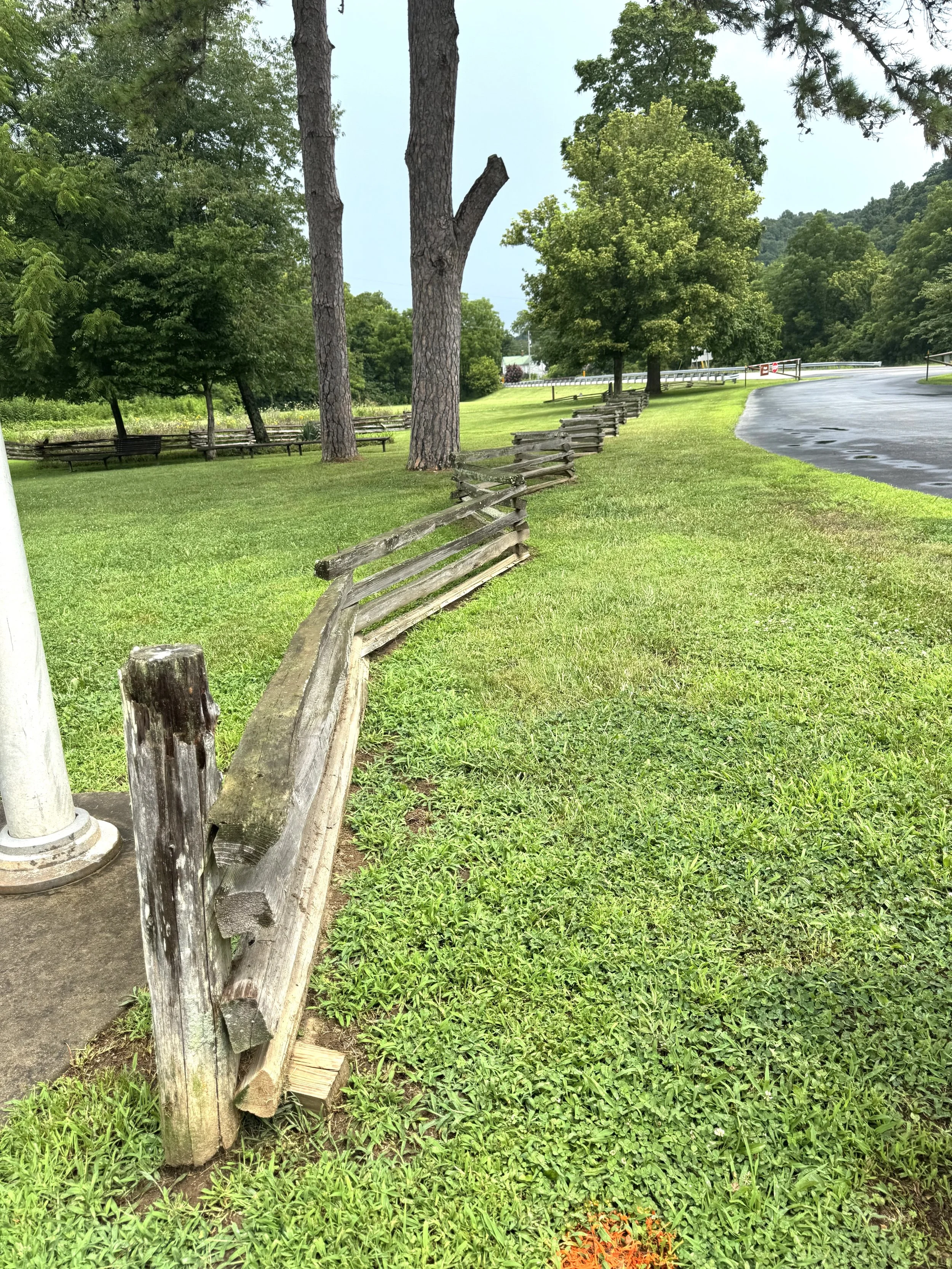 Log fence.jpeg