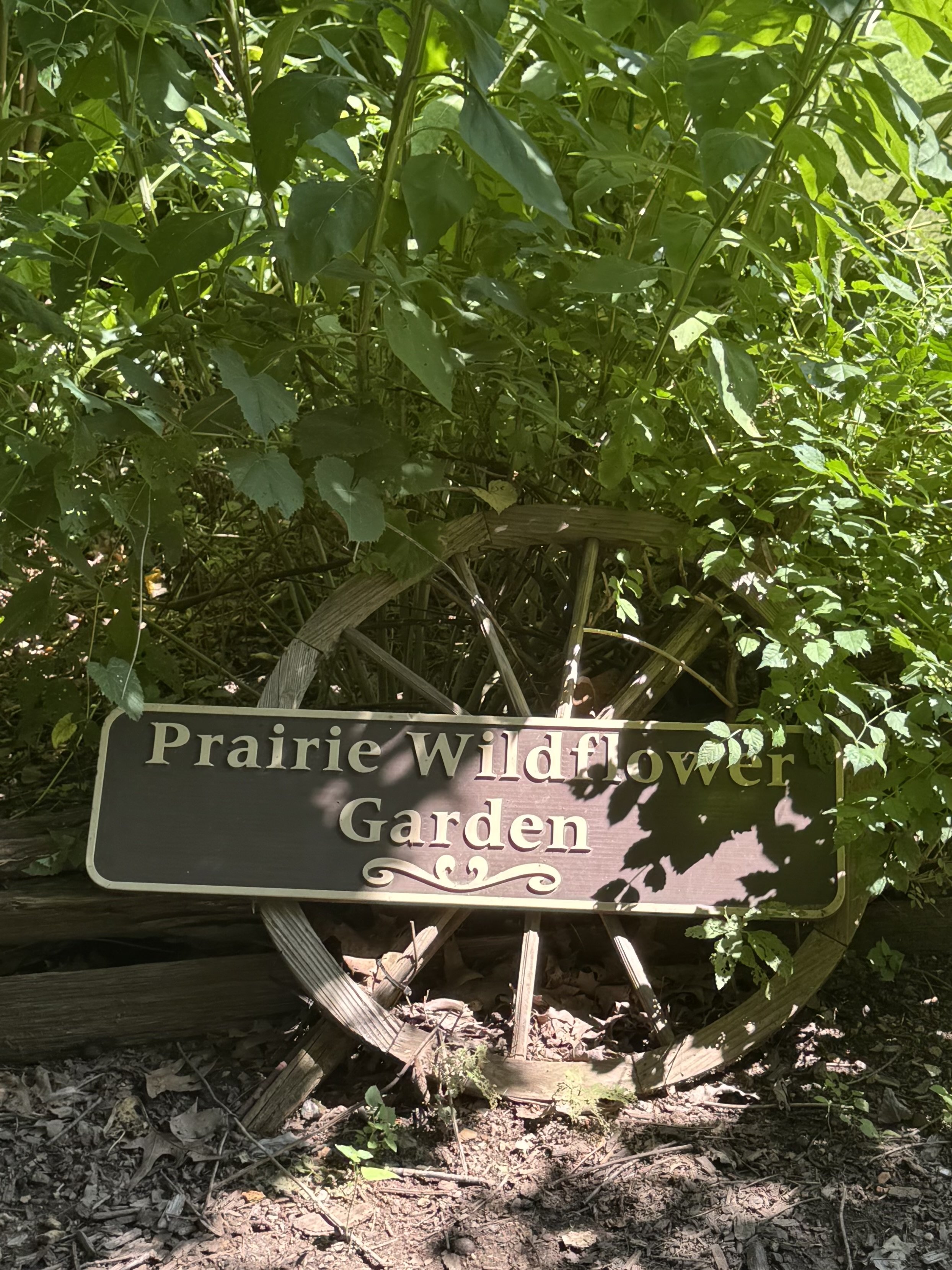 Wildflower garden sign.jpeg