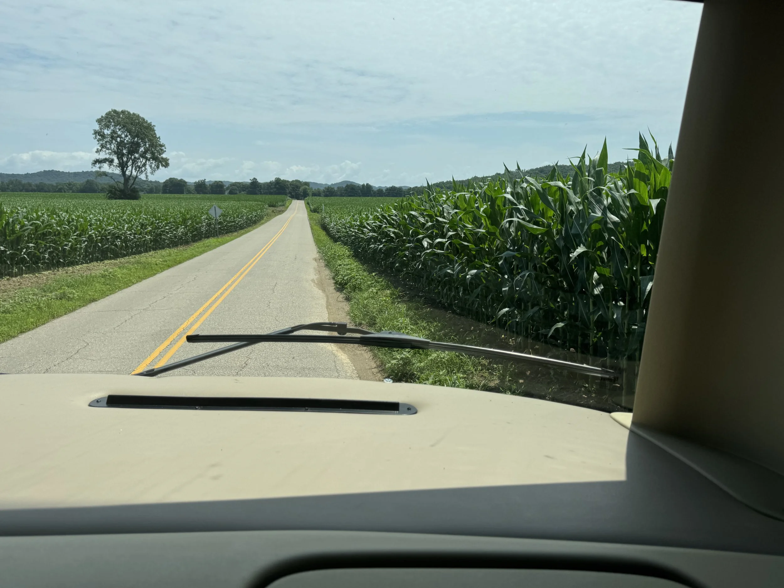 Road through corn fields.jpeg