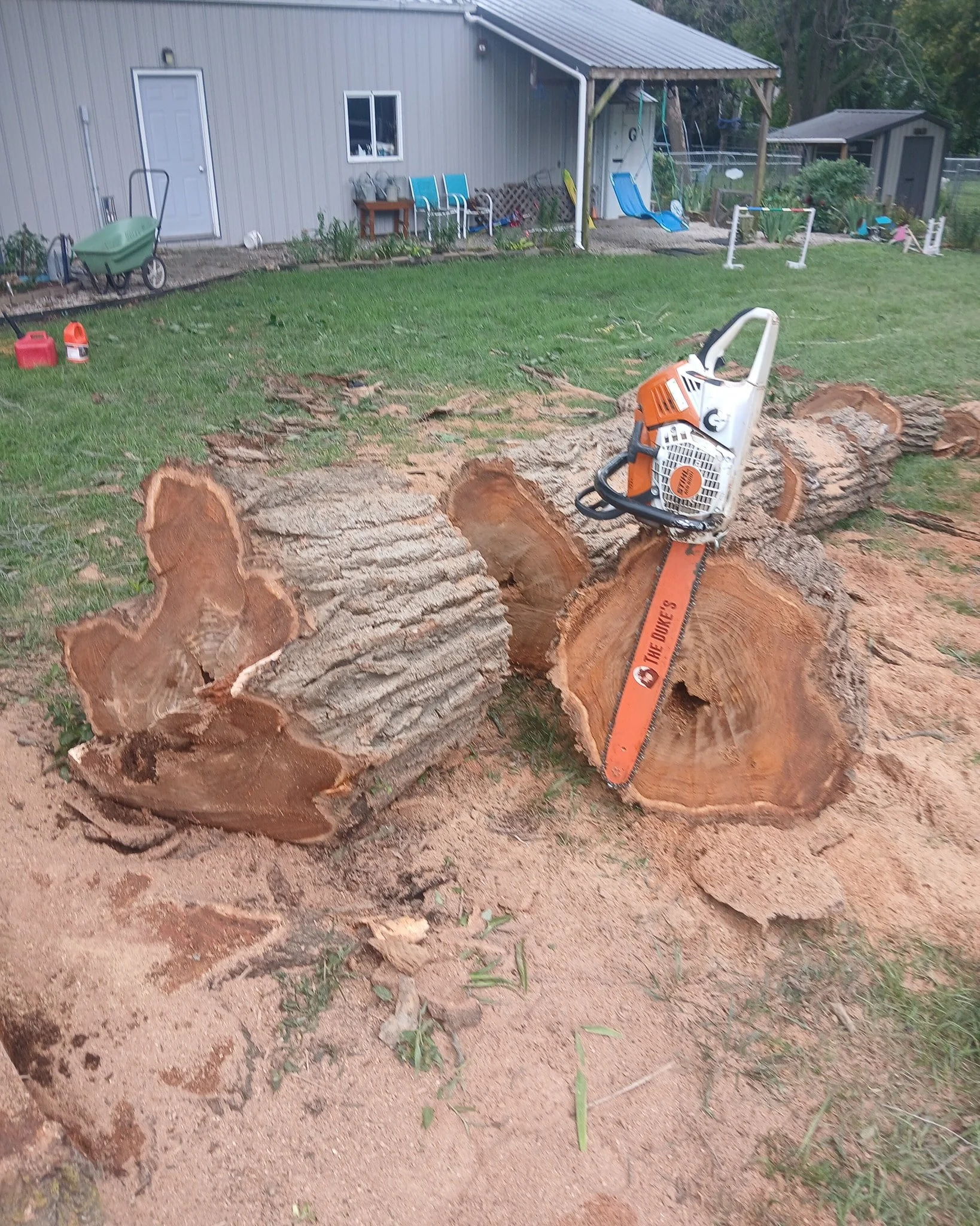 We love trees, but sometimes they need to go. #trees #smallbusiness