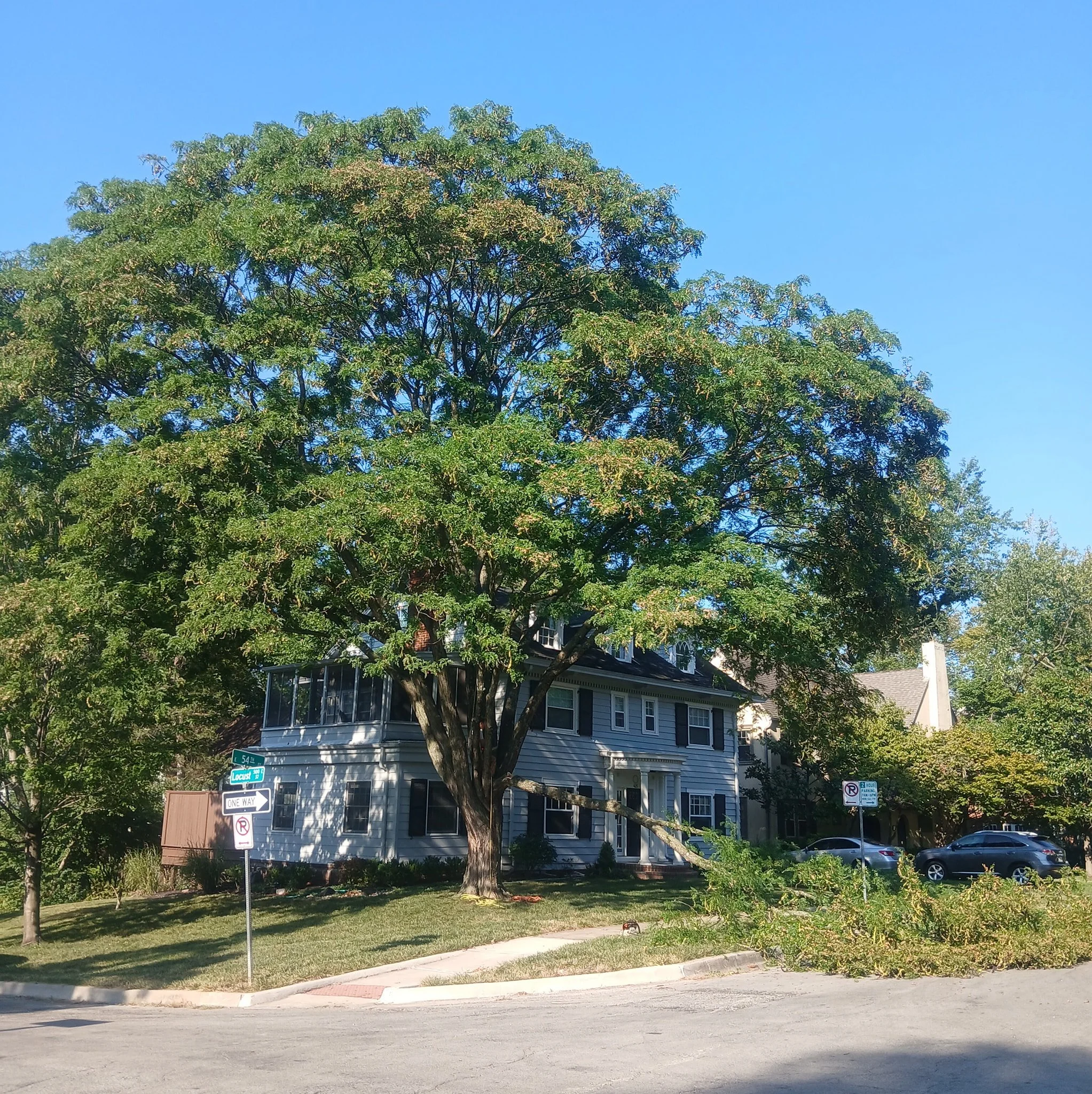 We got this locust off this house, hauled out, and ready for a new pecan to grow!! #smallbusiness #homeimprovements #trees