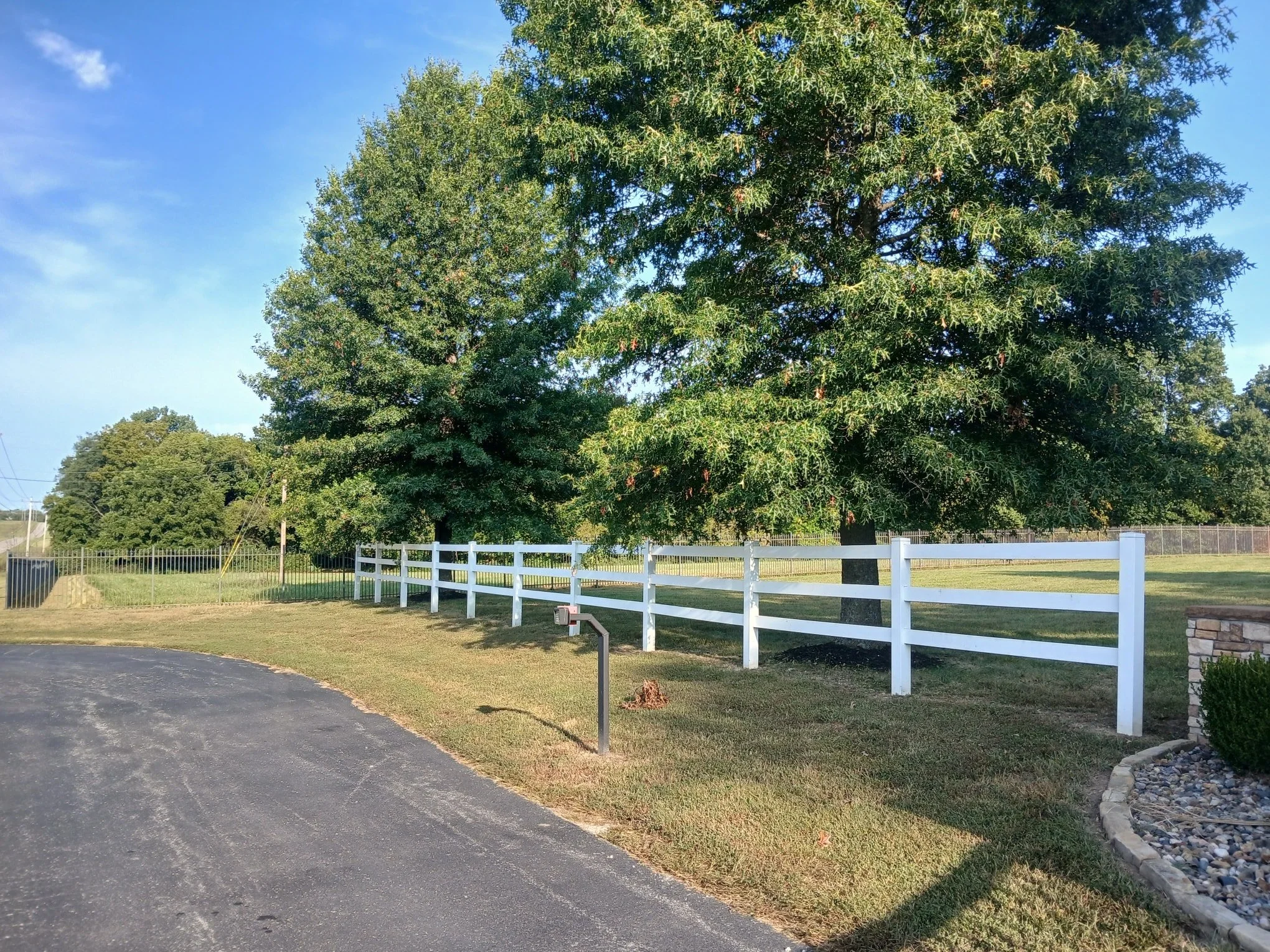 From prehistoric to park!! It's time to schedule your trimmings.