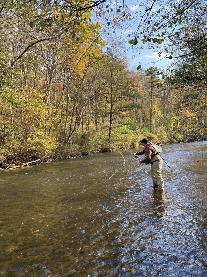 A person wearing waders and a hat stands in a shallow, clear river while fishing with a rod and reel amid autumn trees with yellow, orange, and green leaves in a wooded area.