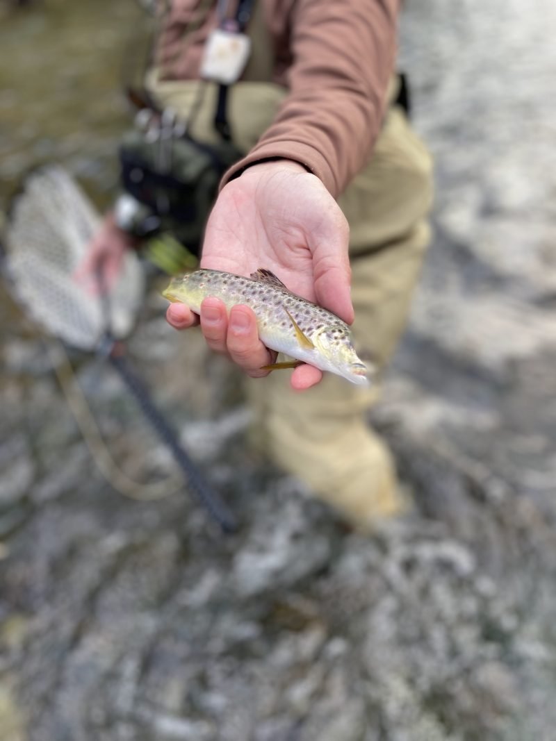 Central Pennsylvania Trip
