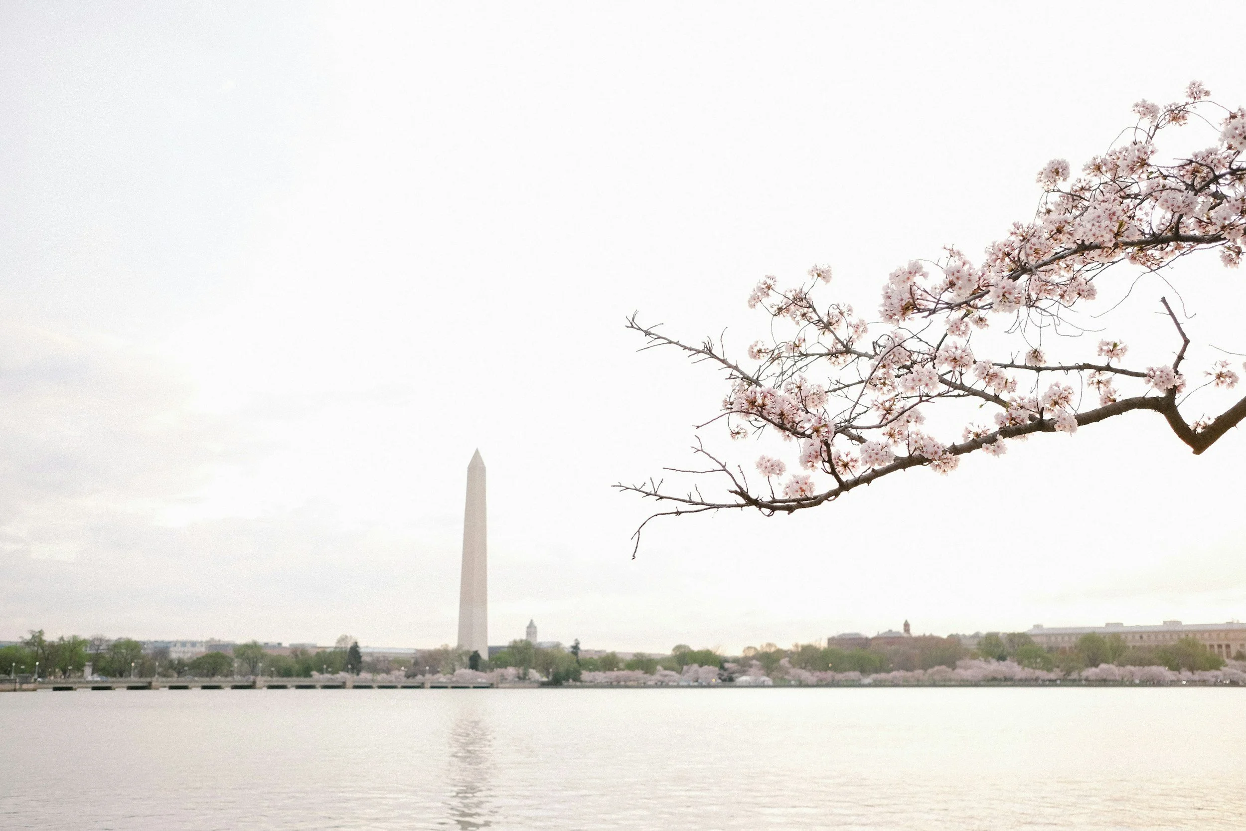 DC Tidal Basin Fishing Trip
