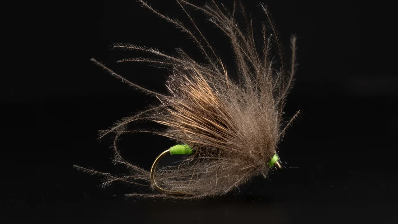 Fly of the Month: Old Bat Caddis